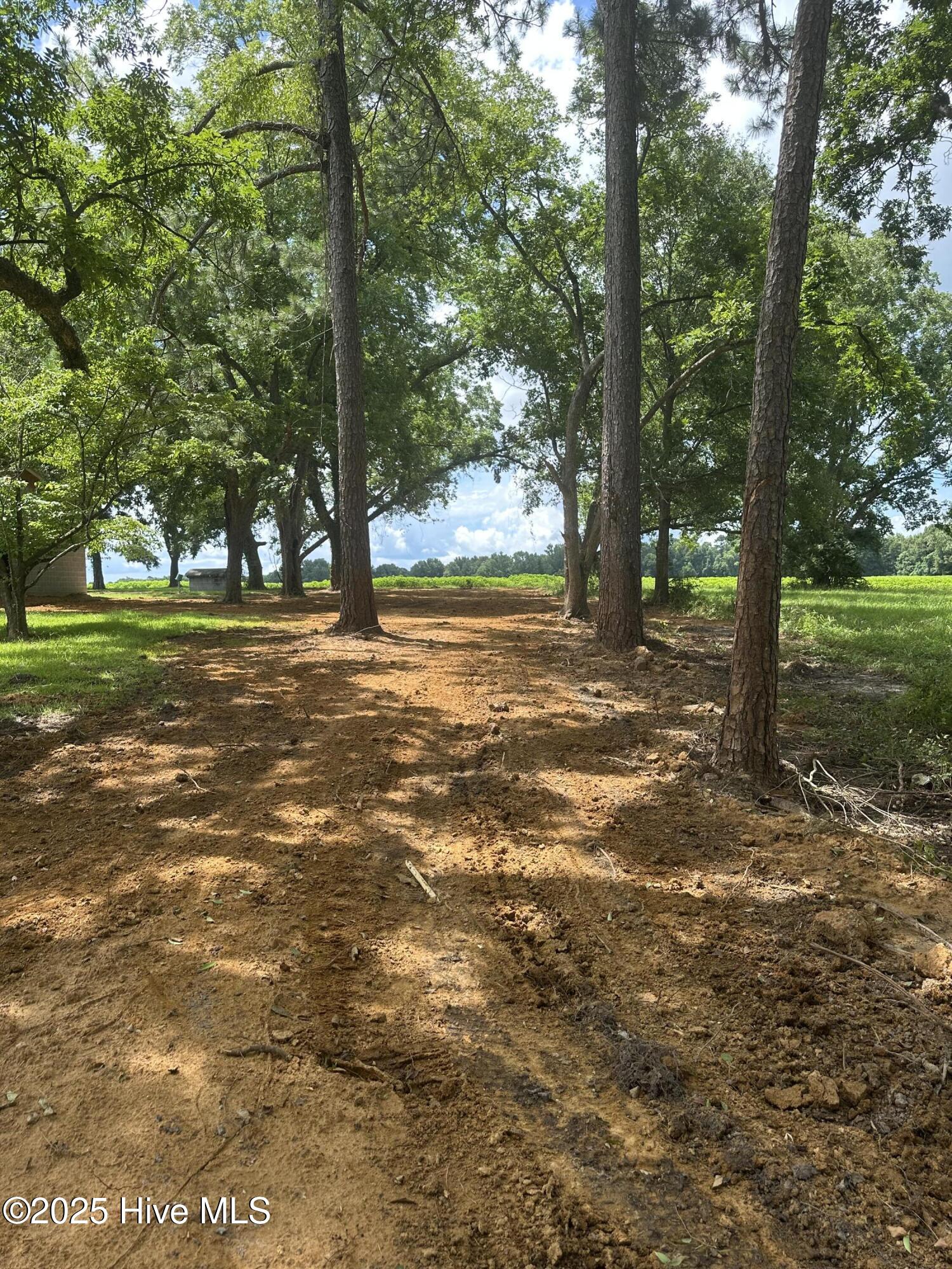 4803 Andrew Jackson Highway Property Photo 72