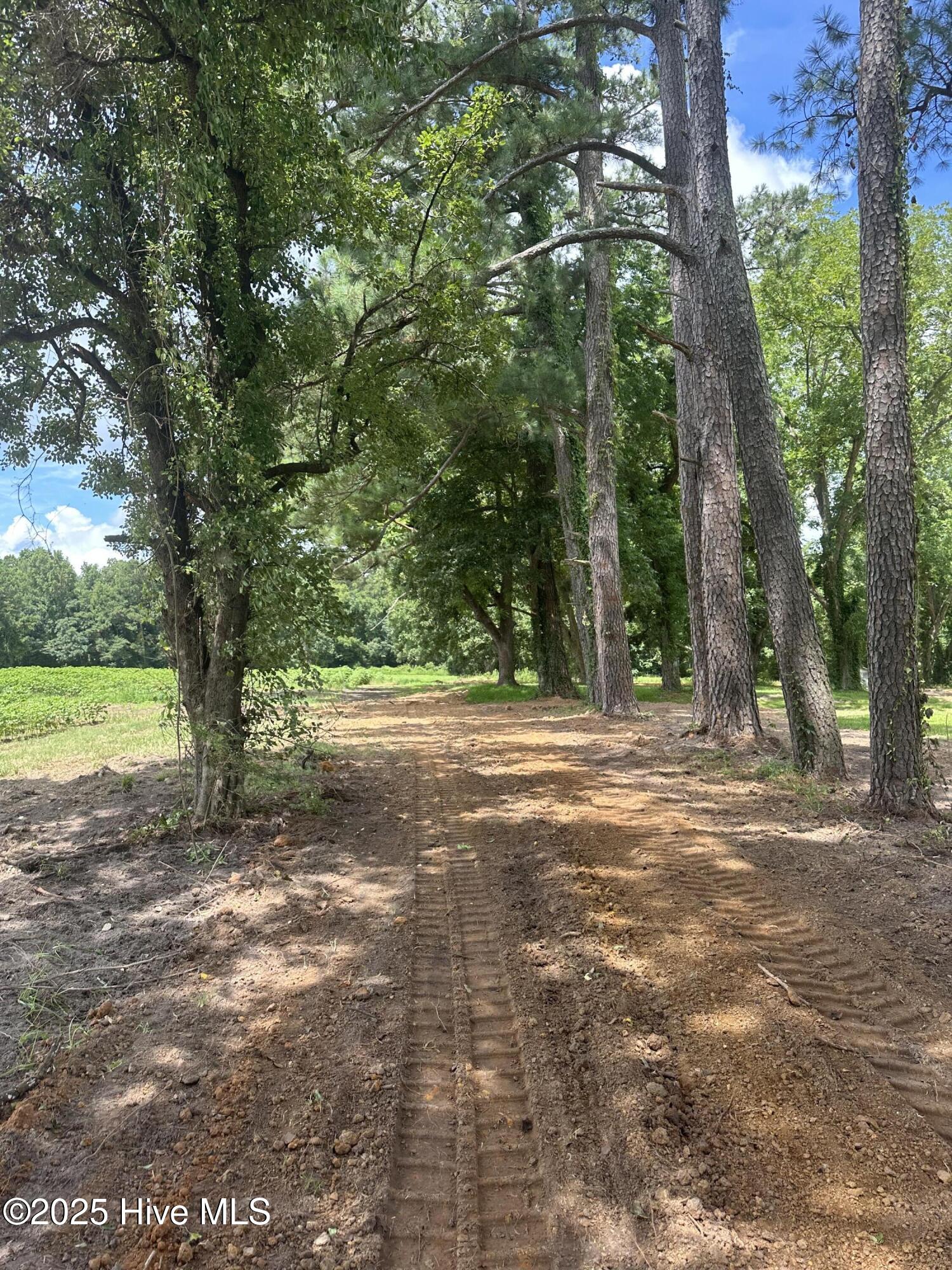 4803 Andrew Jackson Highway Property Photo 77