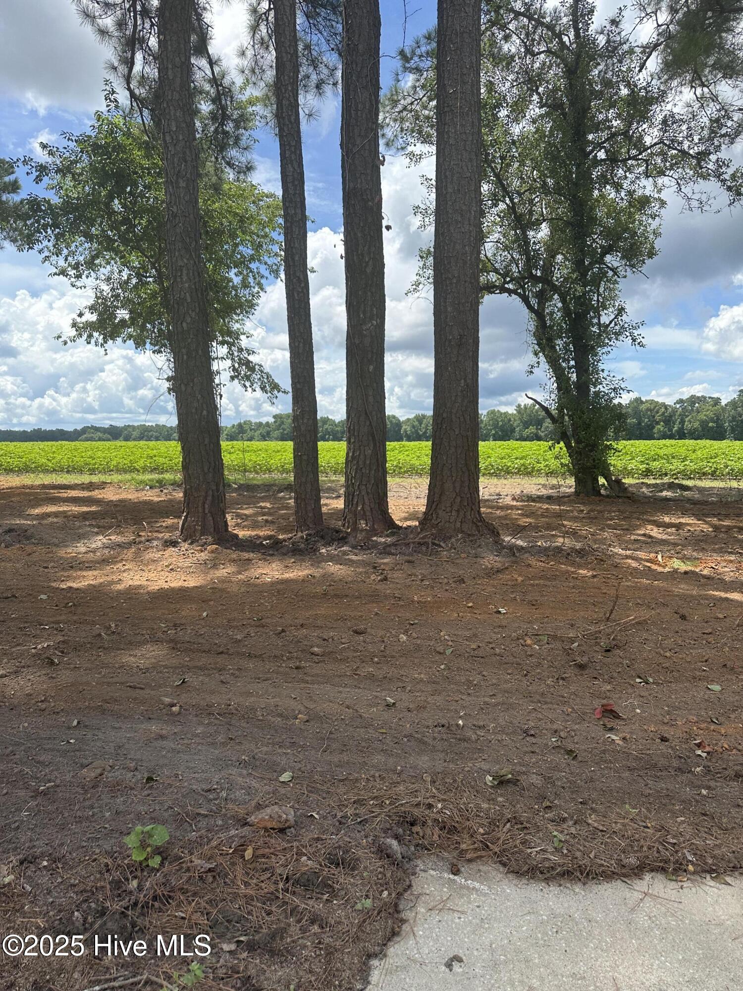 4803 Andrew Jackson Highway Property Photo 80