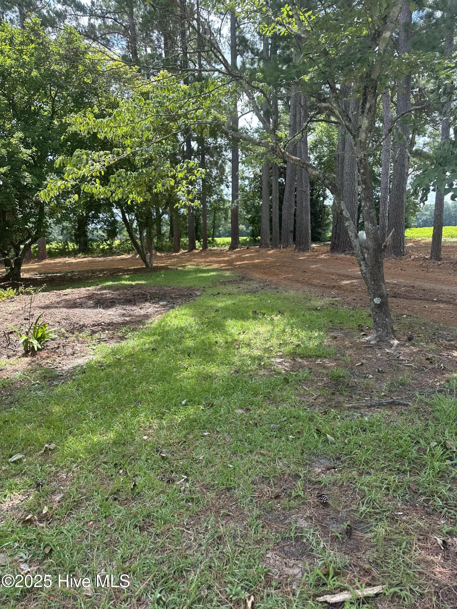 4803 Andrew Jackson Highway Property Photo 81