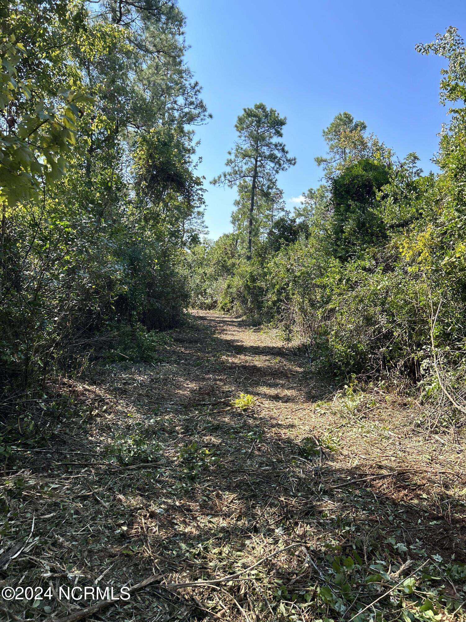 326 Sand Ridge Road Property Photo 13