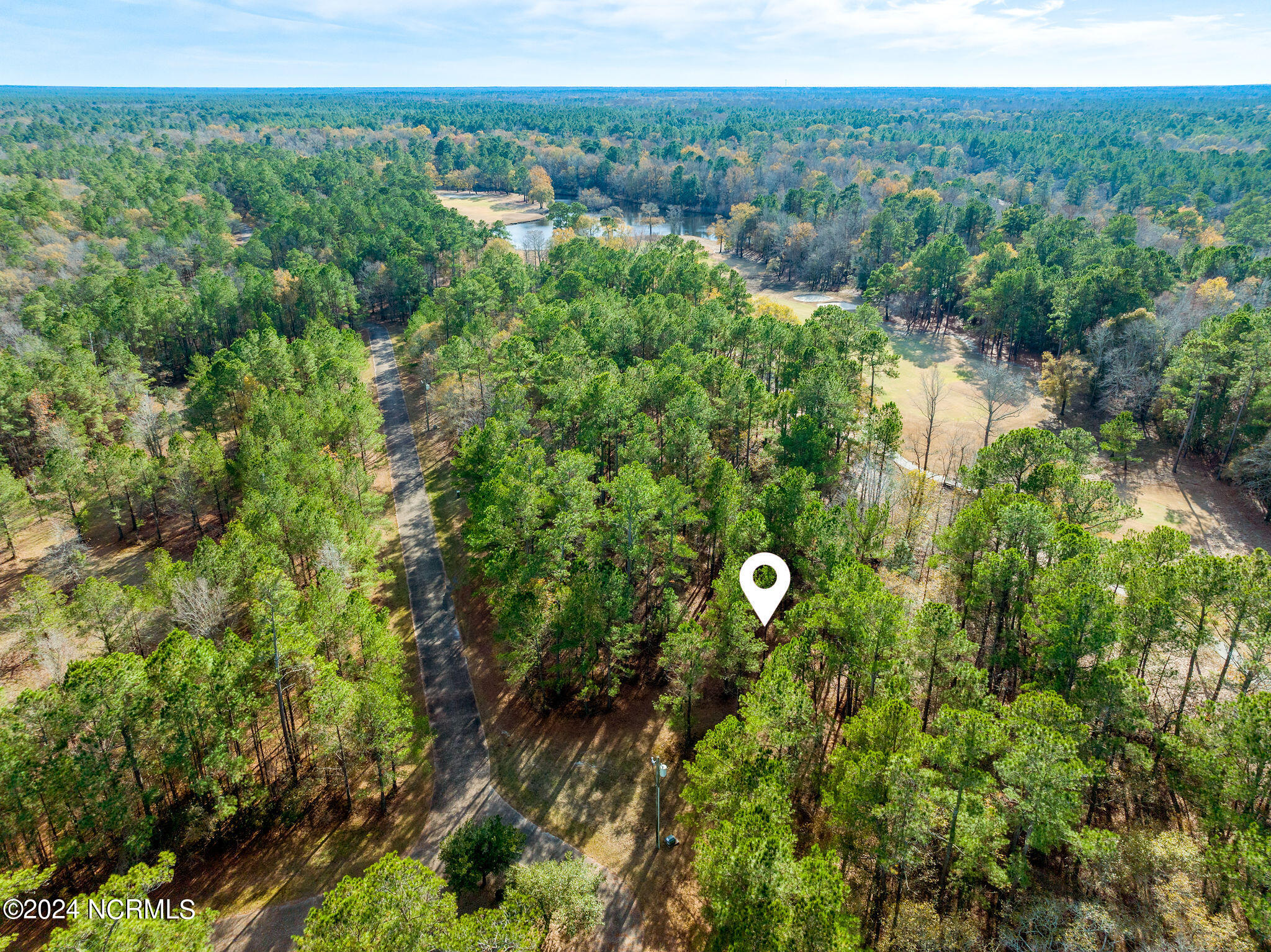 118 River Stone Run Drive Property Photo 2