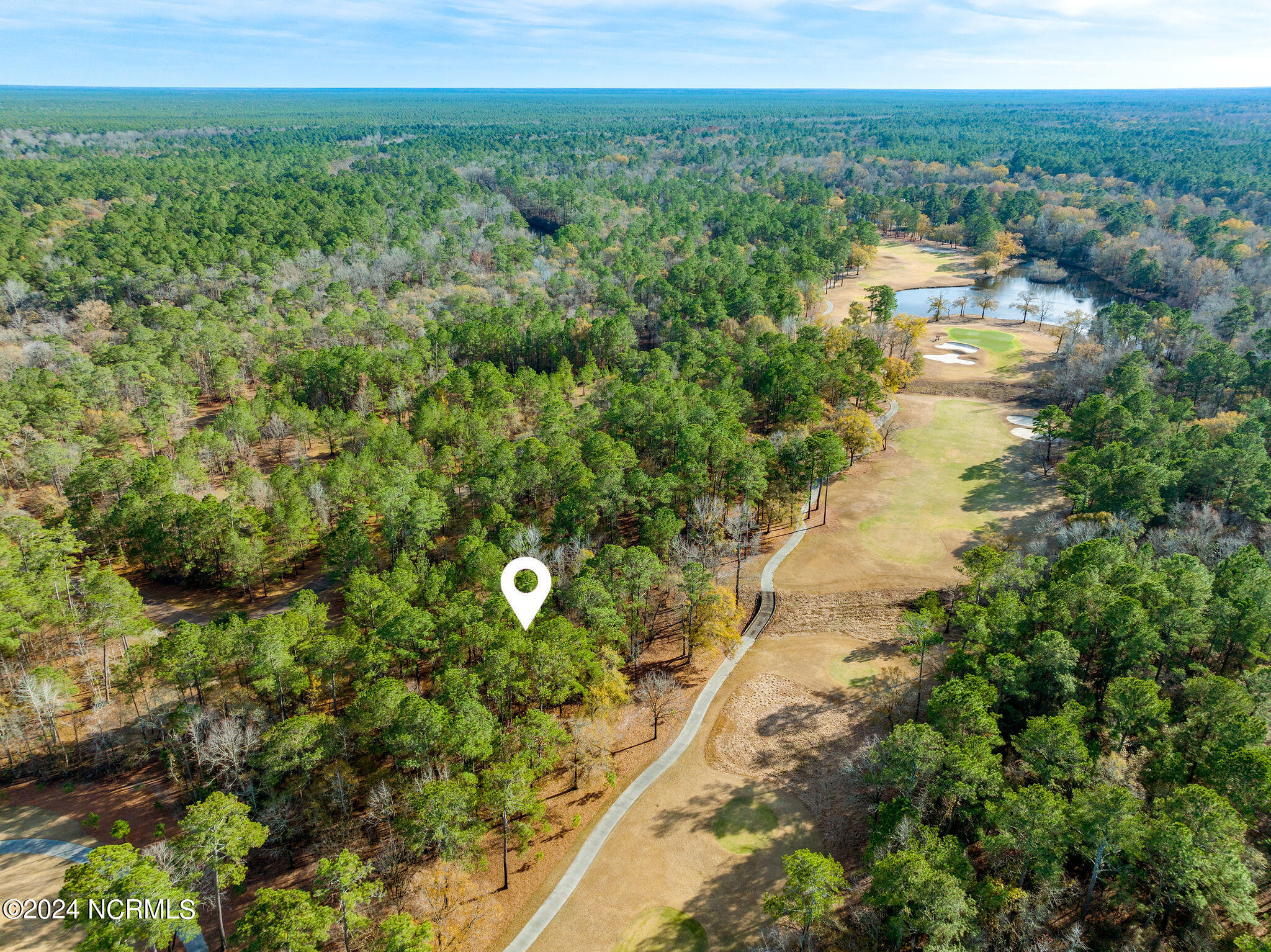 118 River Stone Run Drive Property Photo 3