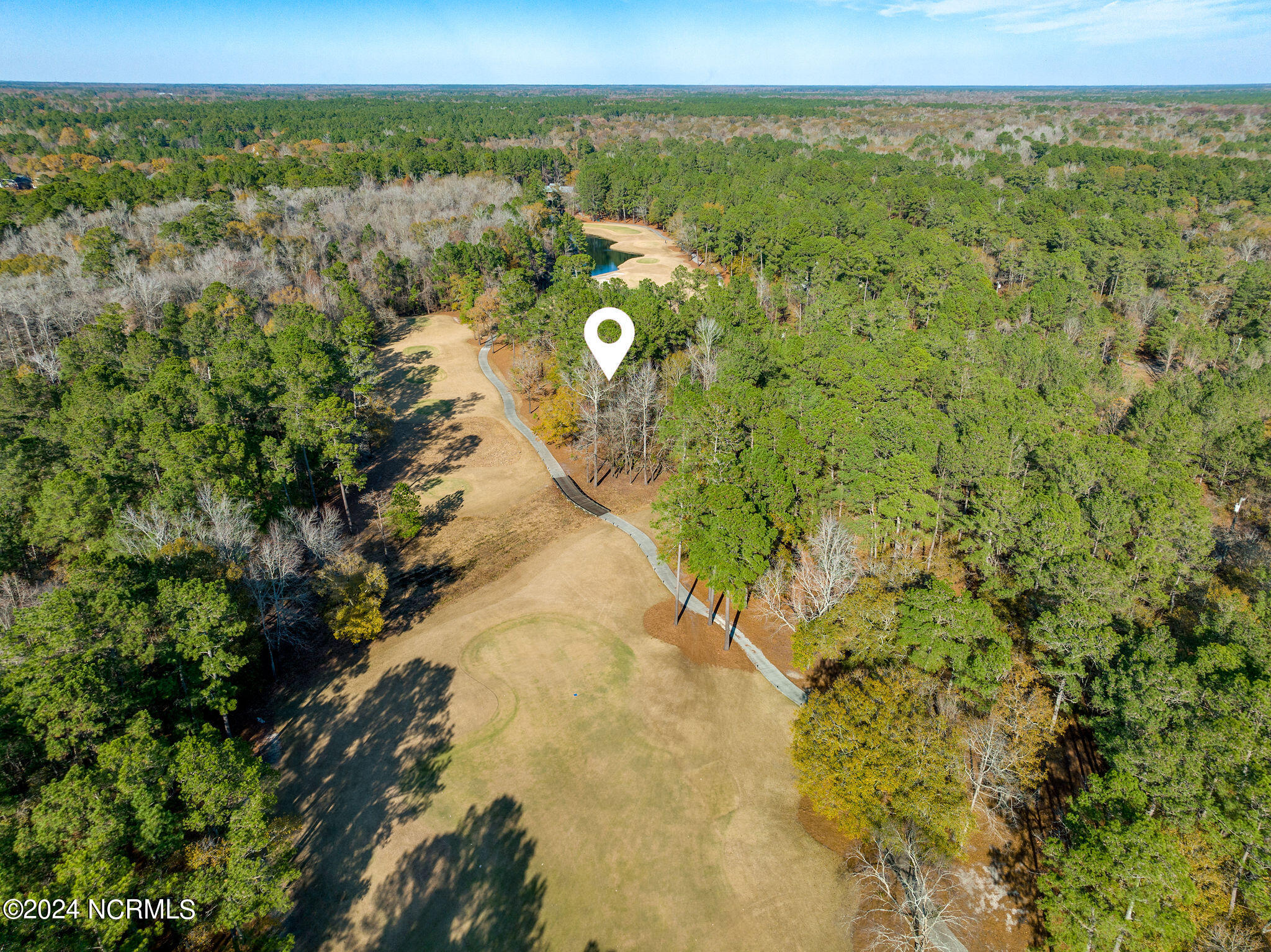 118 River Stone Run Drive Property Photo 4