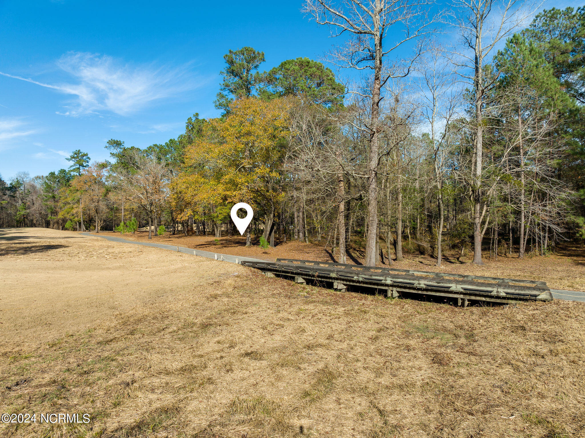 118 River Stone Run Drive Property Photo 6