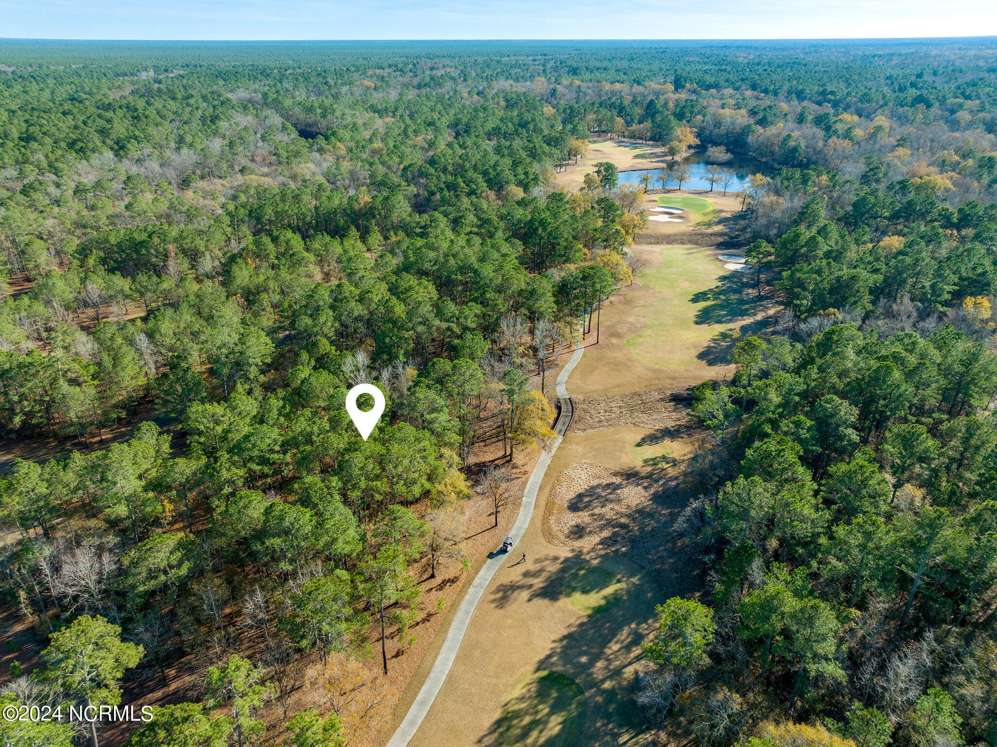 118 River Stone Run Drive Property Photo 7