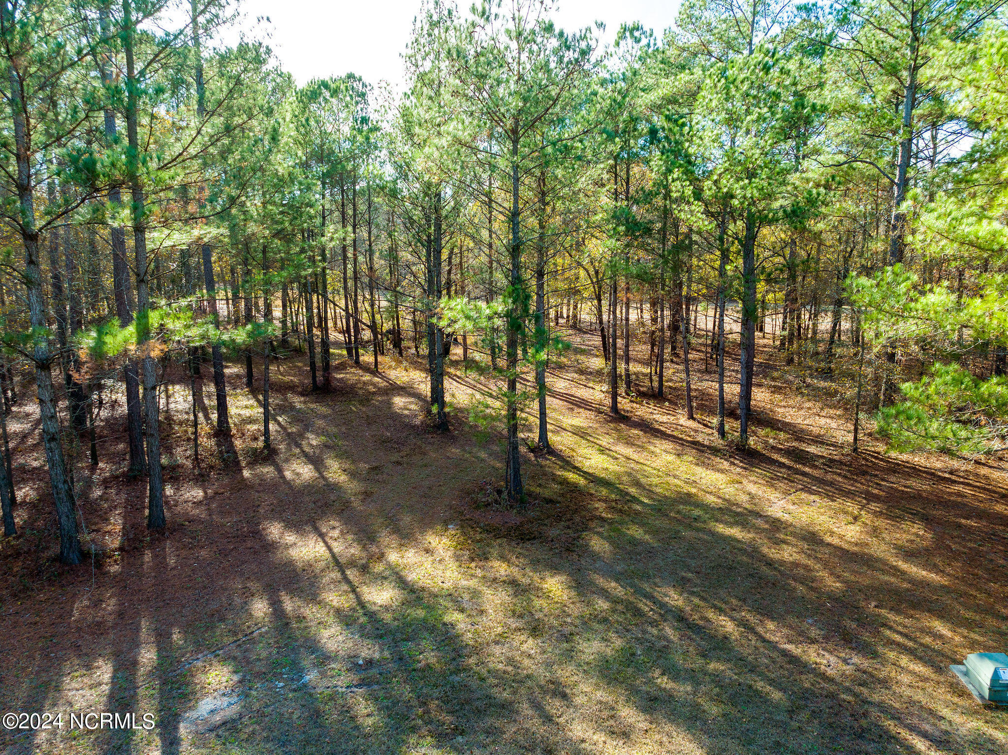 118 River Stone Run Drive Property Photo 8
