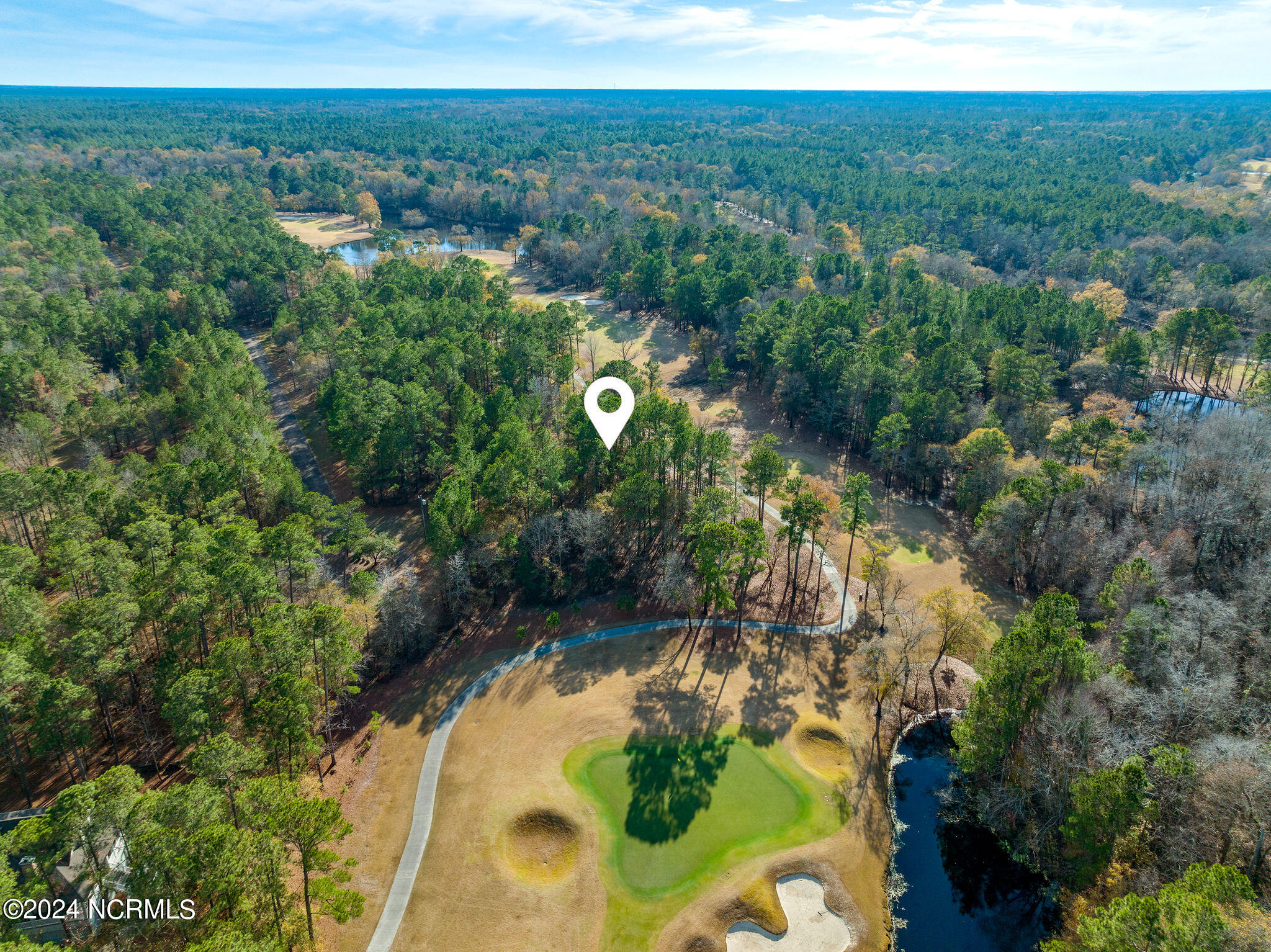 118 River Stone Run Drive Property Photo 9