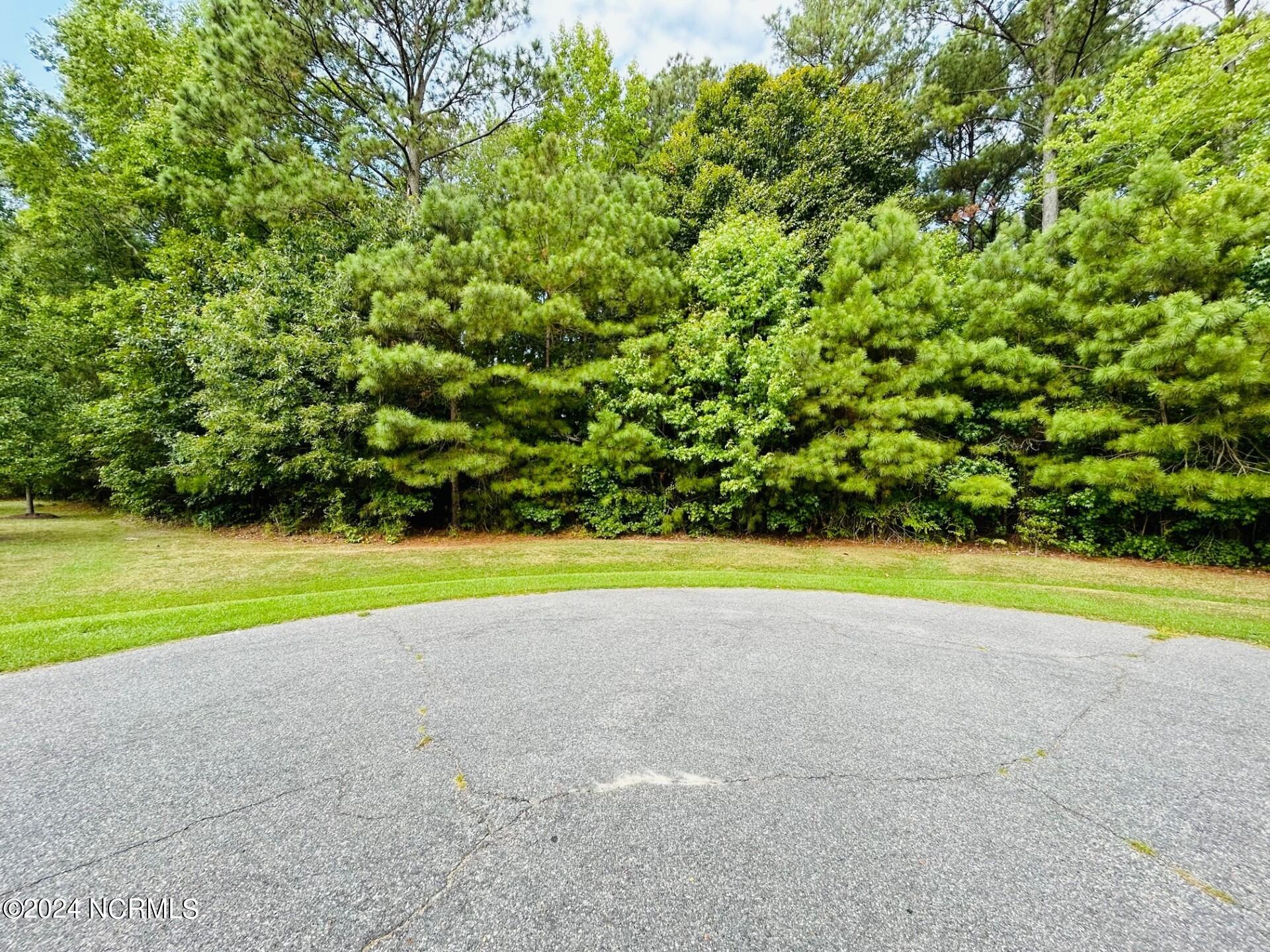 14 Newbegun Creek Court Property Photo