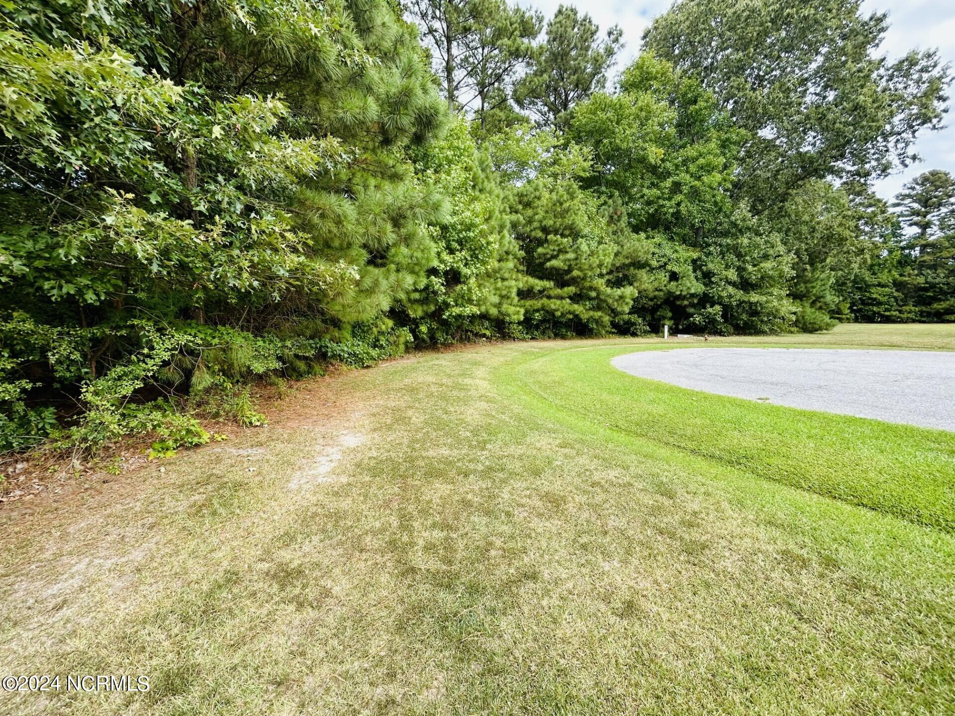 14 Newbegun Creek Court Property Photo 2