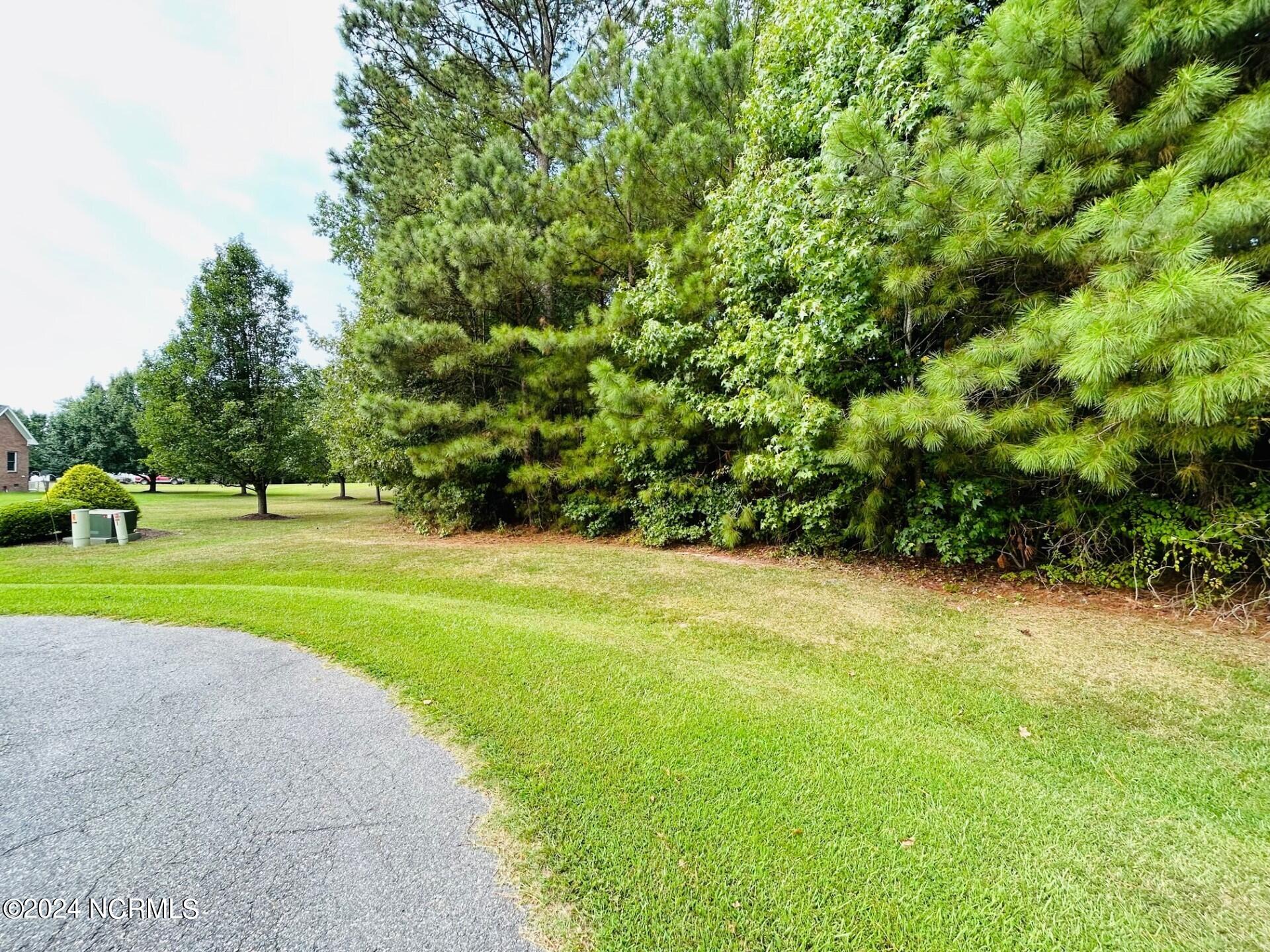 14 Newbegun Creek Court Property Photo 3