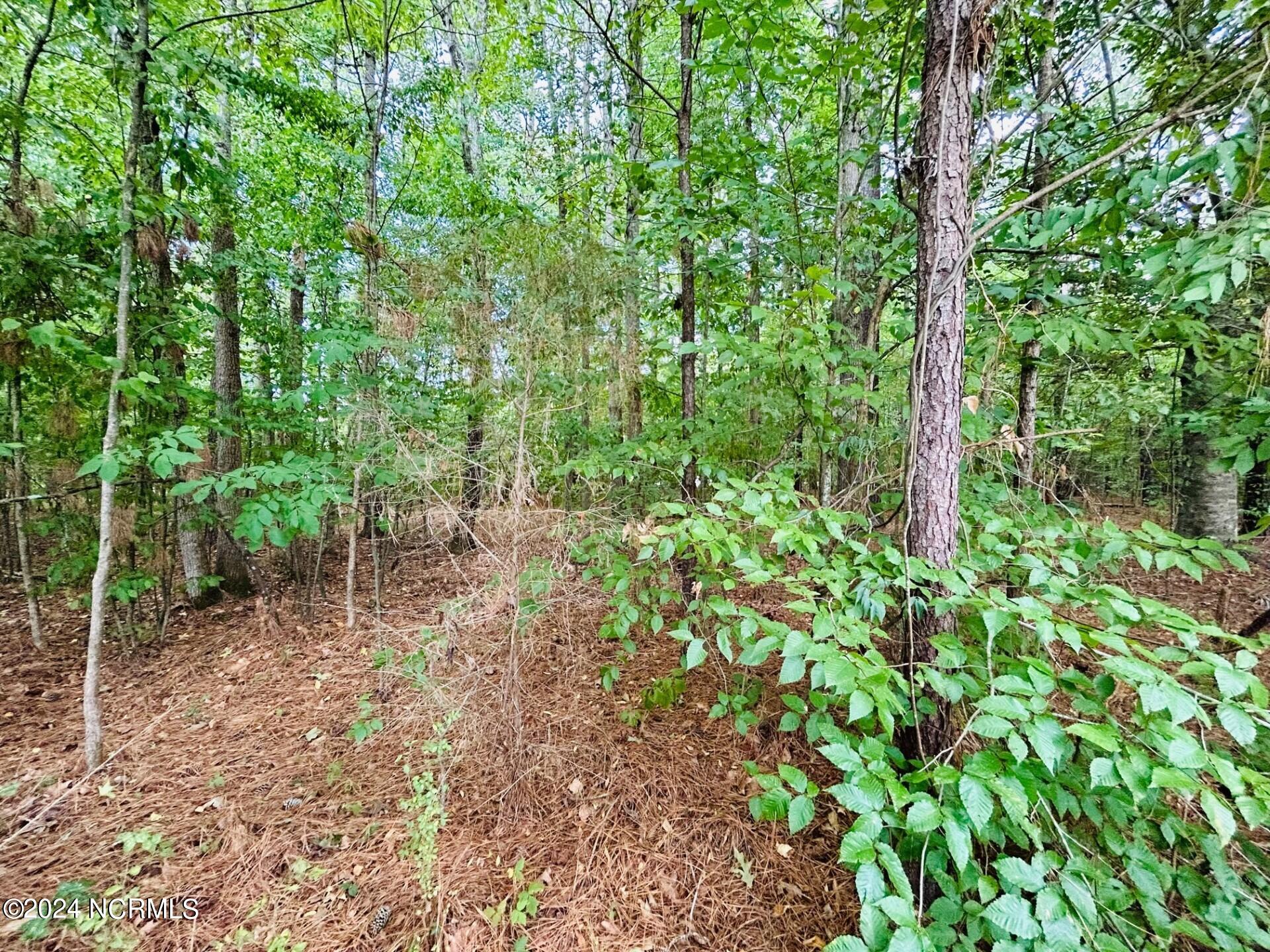 14 Newbegun Creek Court Property Photo 4
