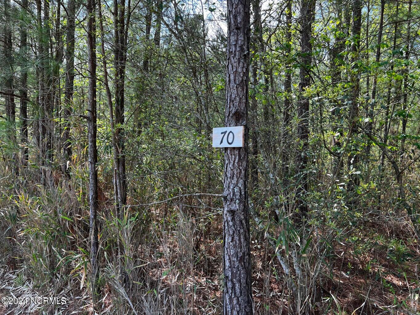 Lot 70 Smugglers Cove Property Photo 4