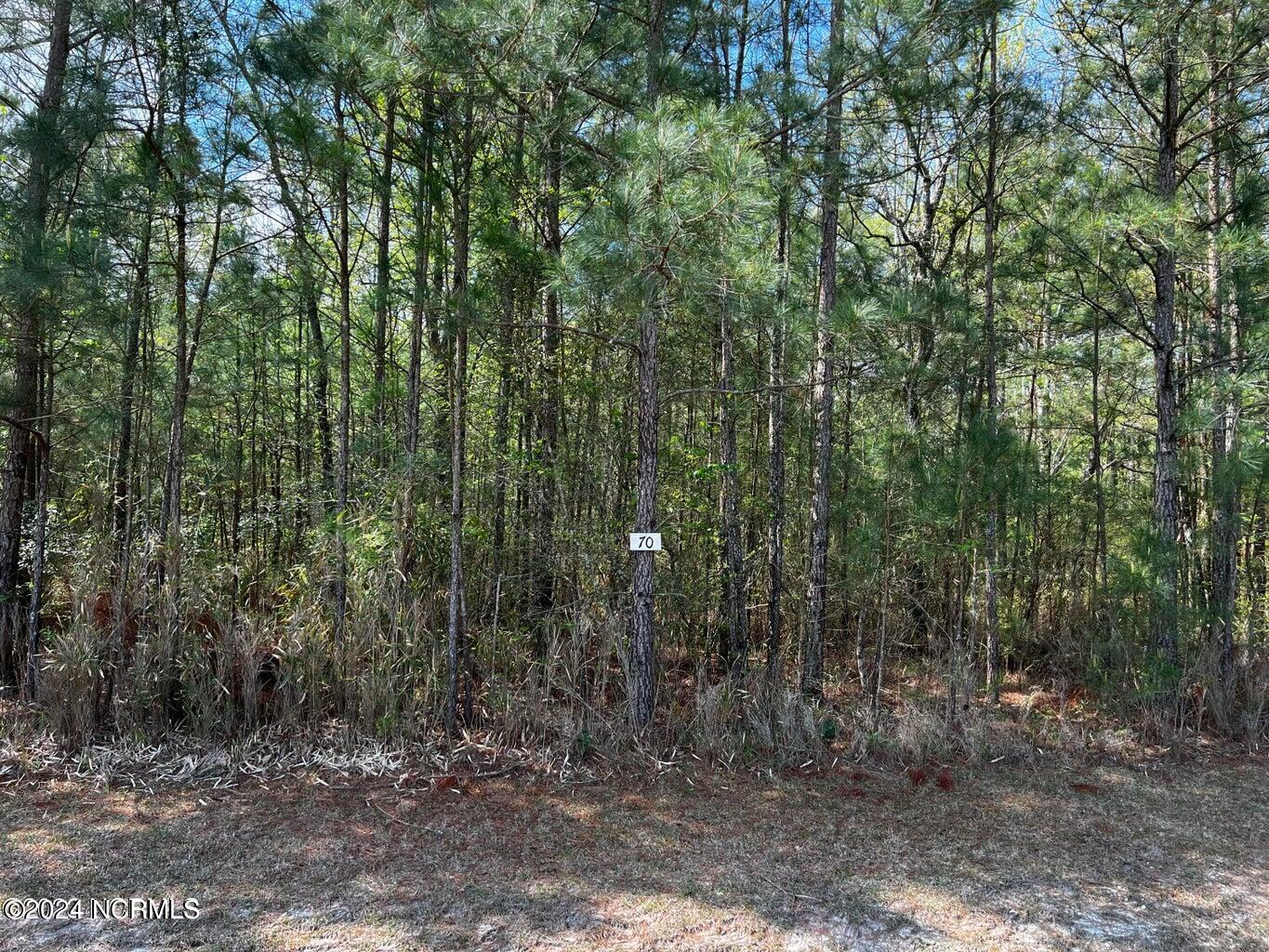 Lot 70 Smugglers Cove Property Photo 5