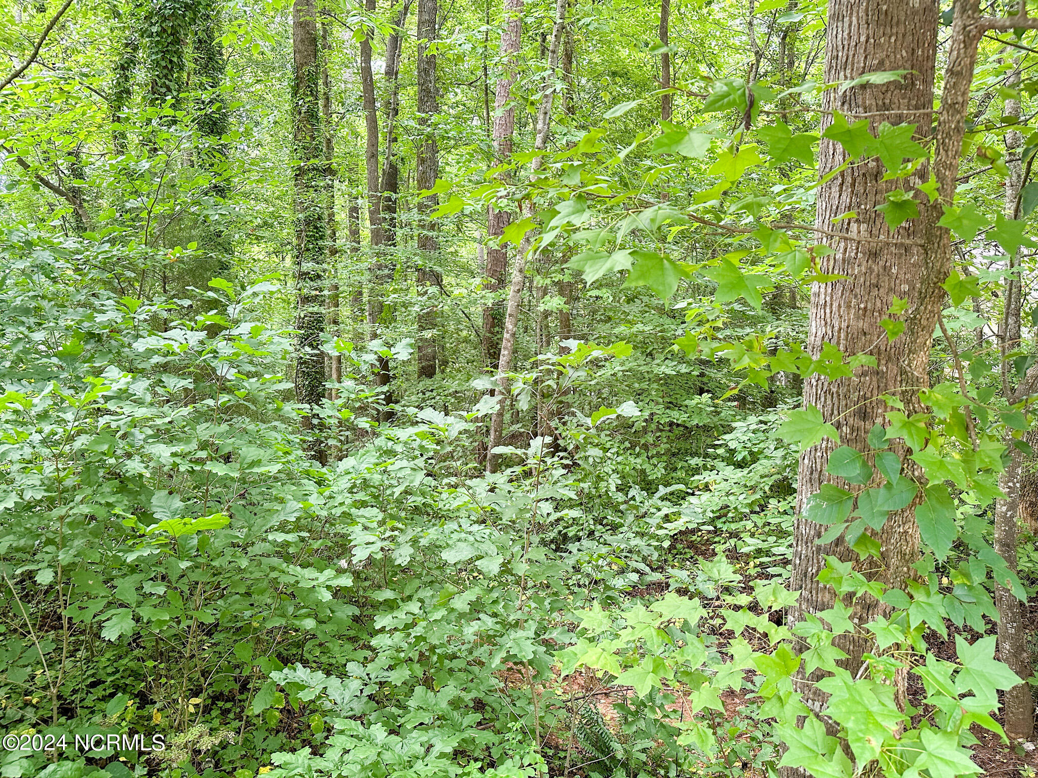 Tbd South Pointe Property Photo 19