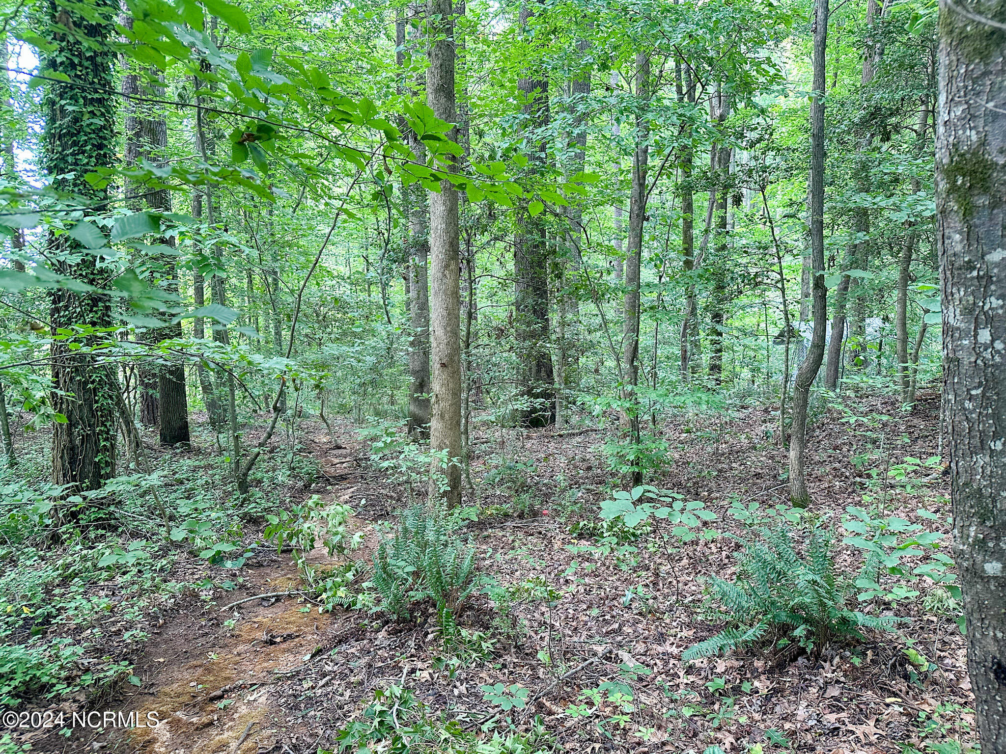 Tbd South Pointe Property Photo 21