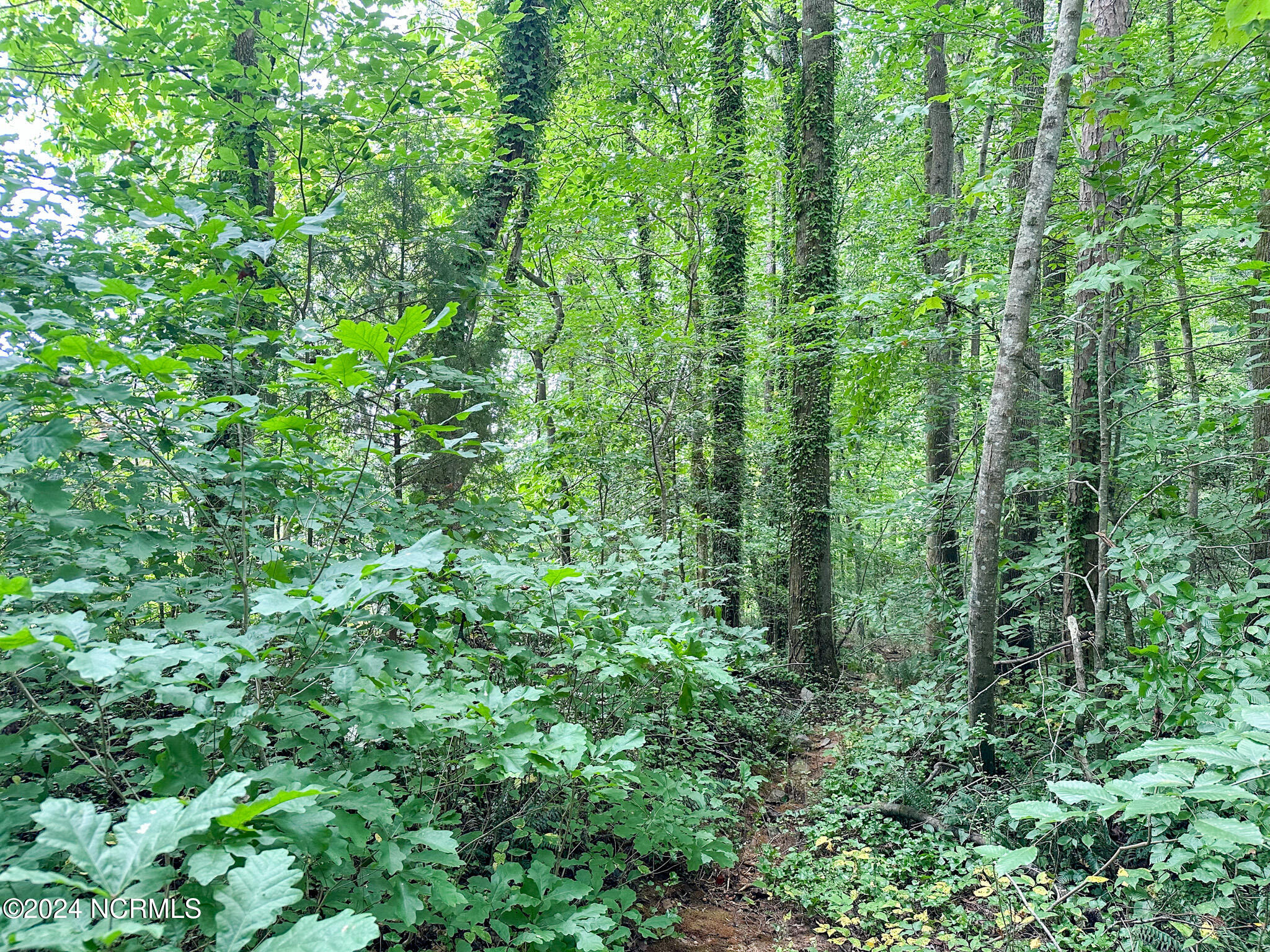 Tbd South Pointe Property Photo 22