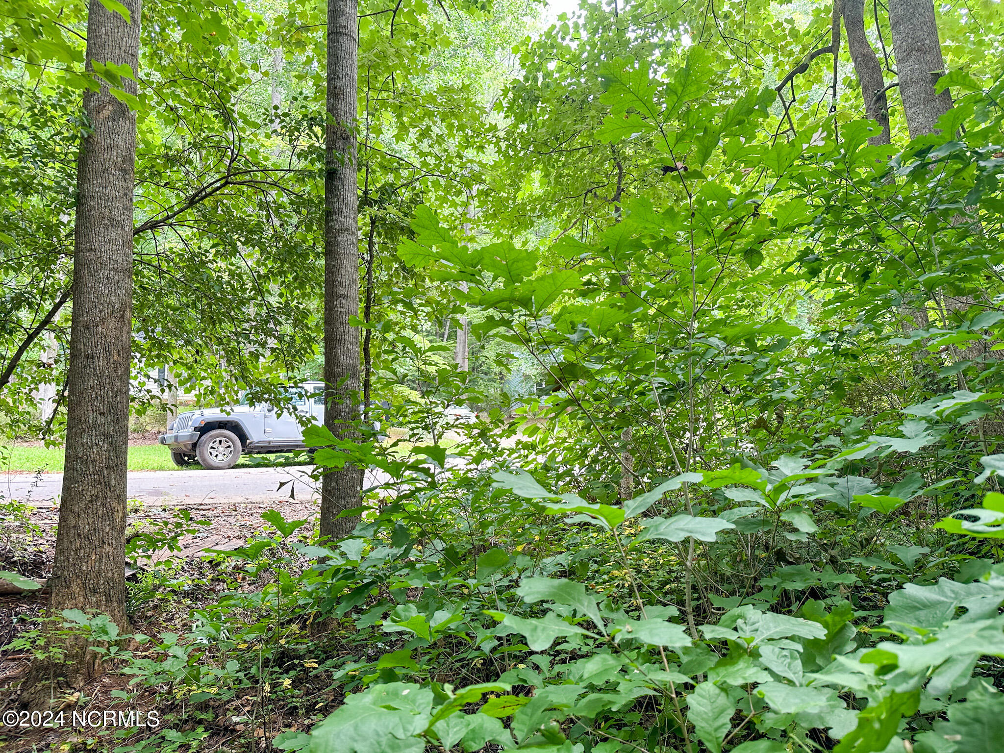 Tbd South Pointe Property Photo 24