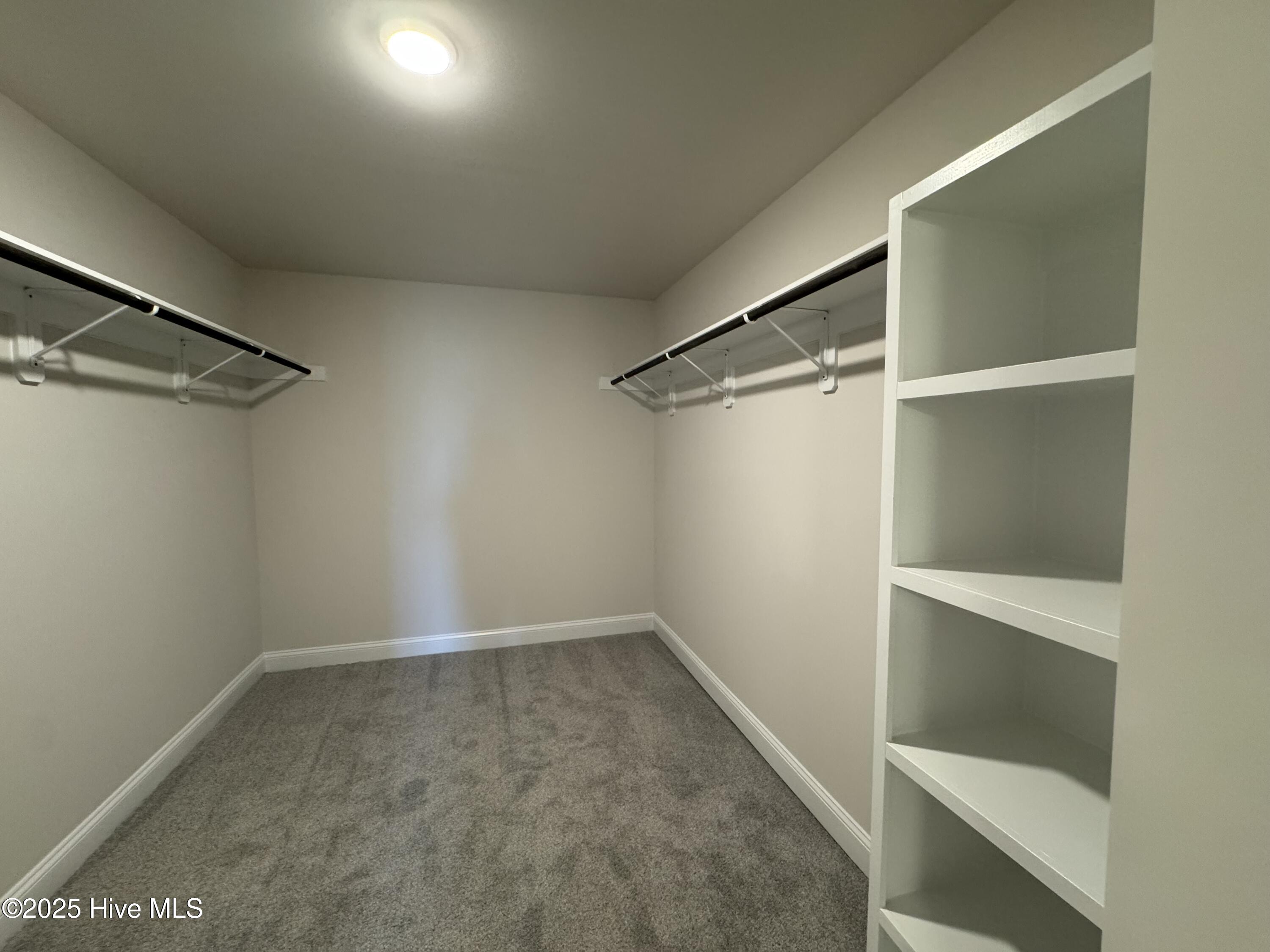 99 Mapledale Court Property Photo 29