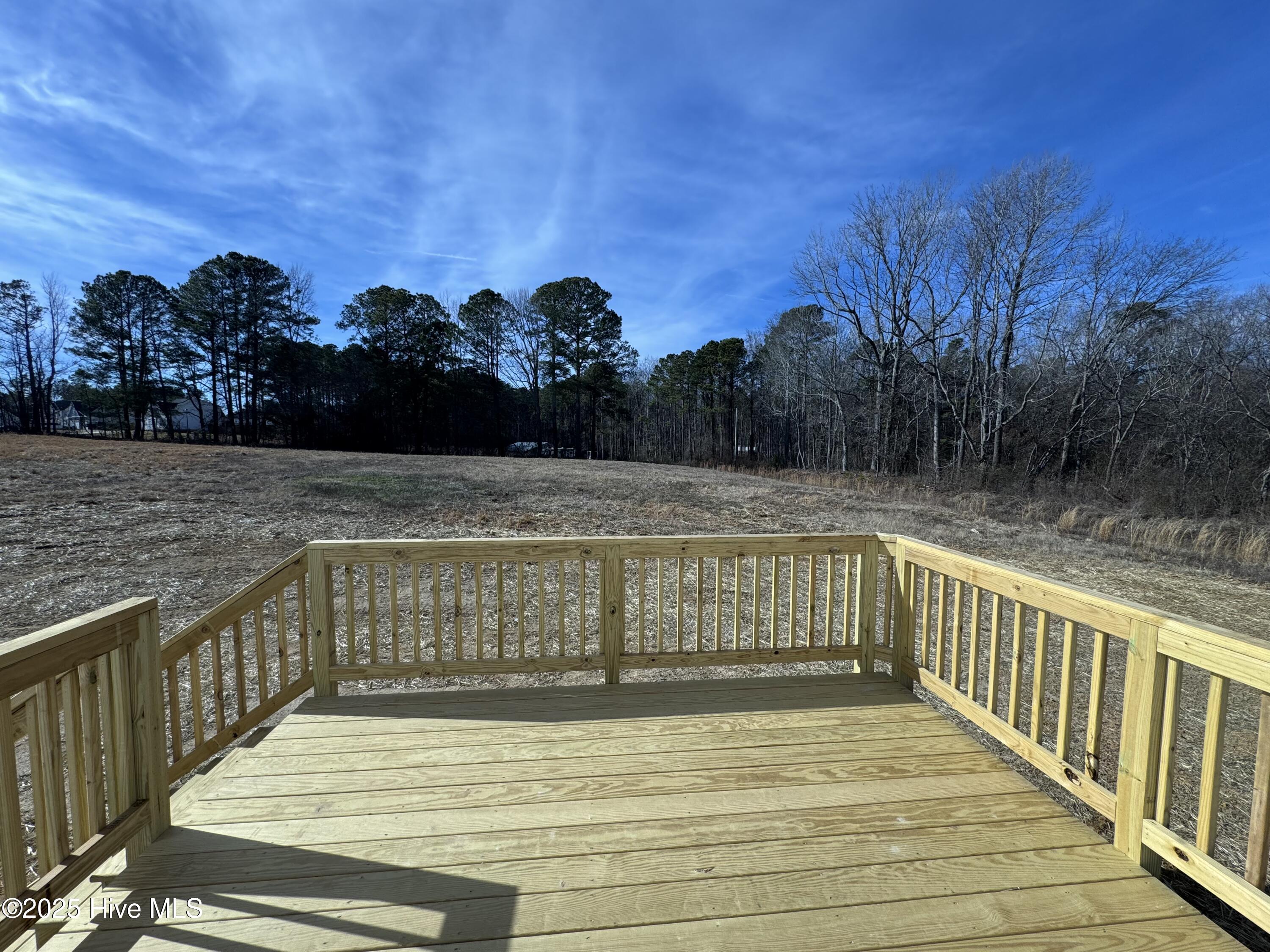 99 Mapledale Court Property Photo 33