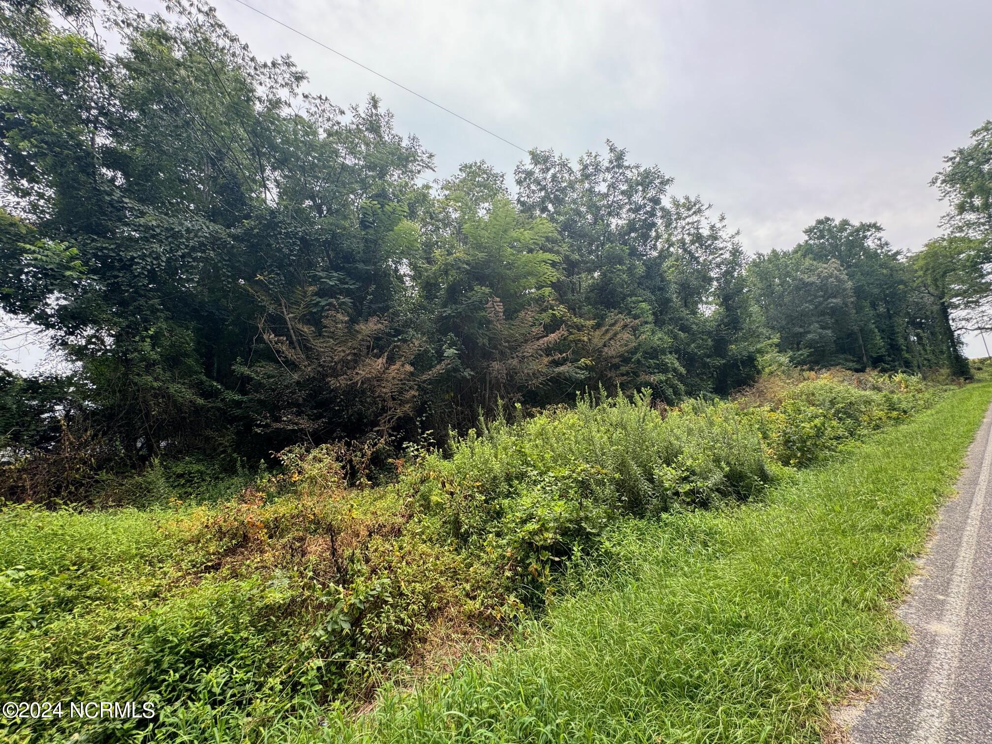 Tbd Swains Mill Road Property Photo 8