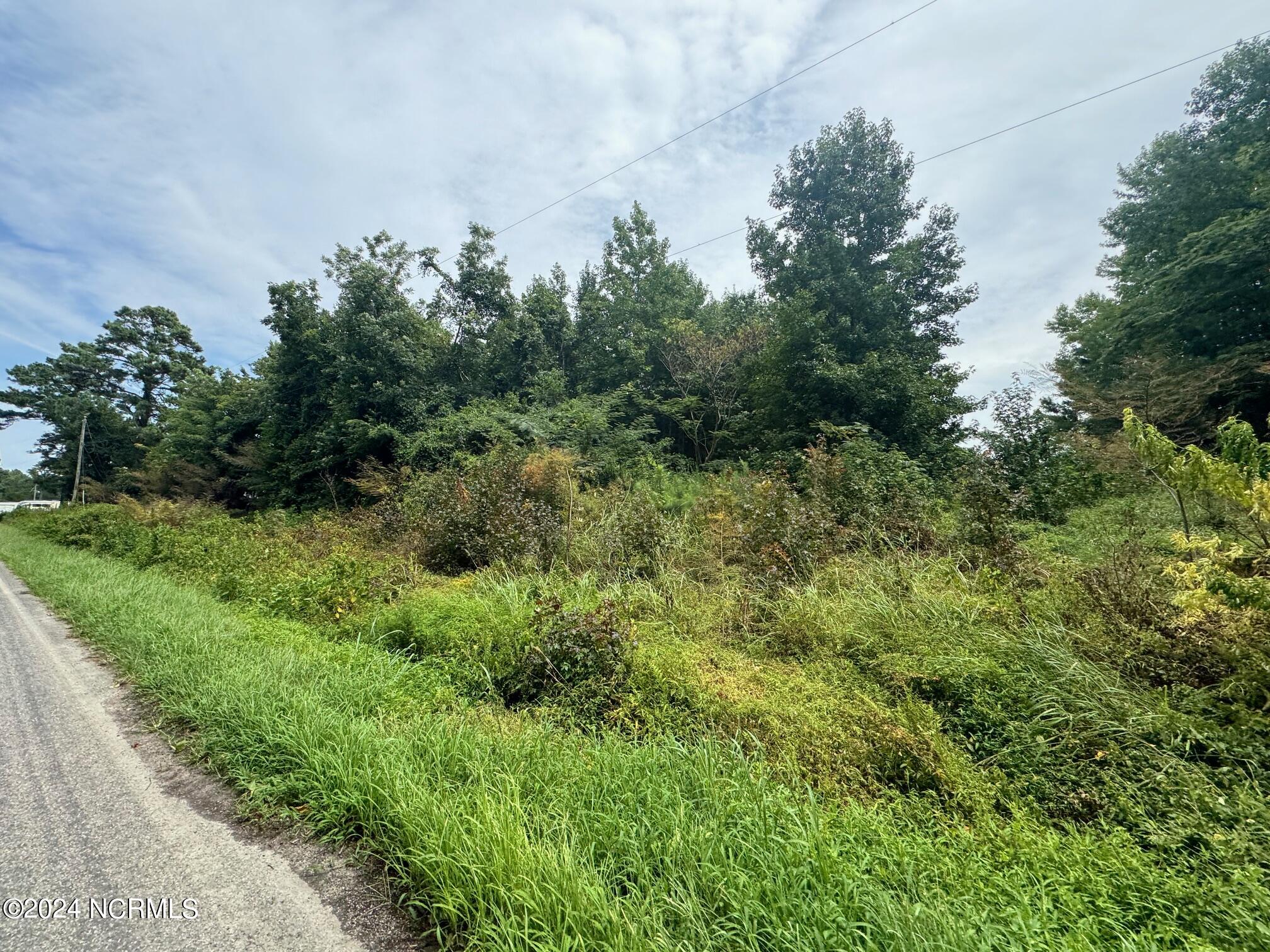 Tbd Swains Mill Road Property Photo 9