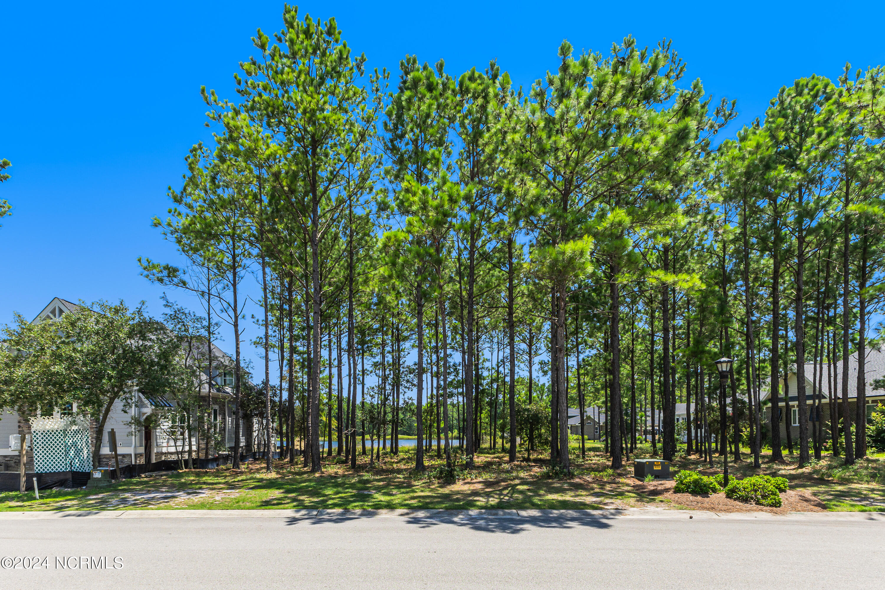 6609 Summerhill Glen Property Photo 14