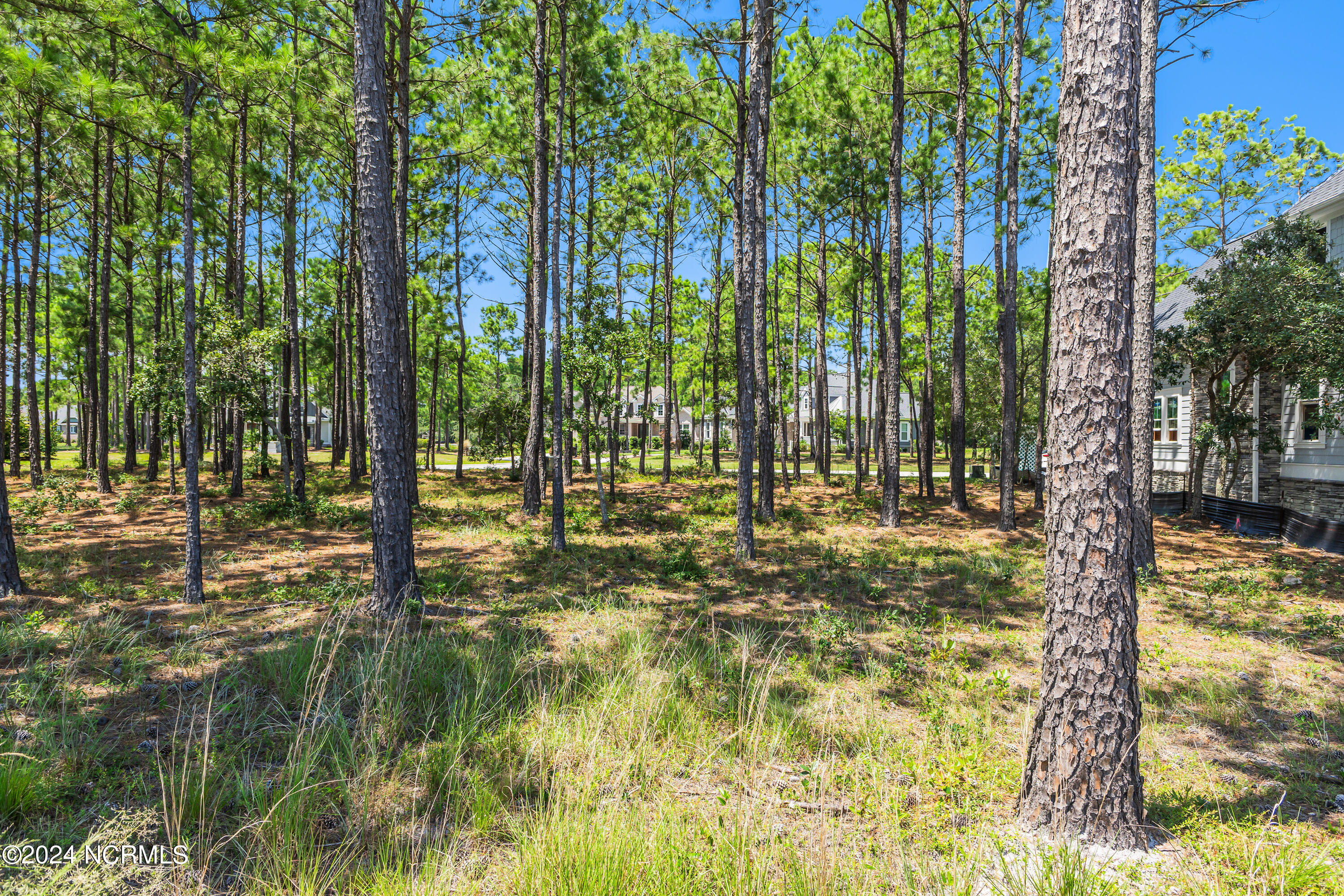6609 Summerhill Glen Property Photo 16