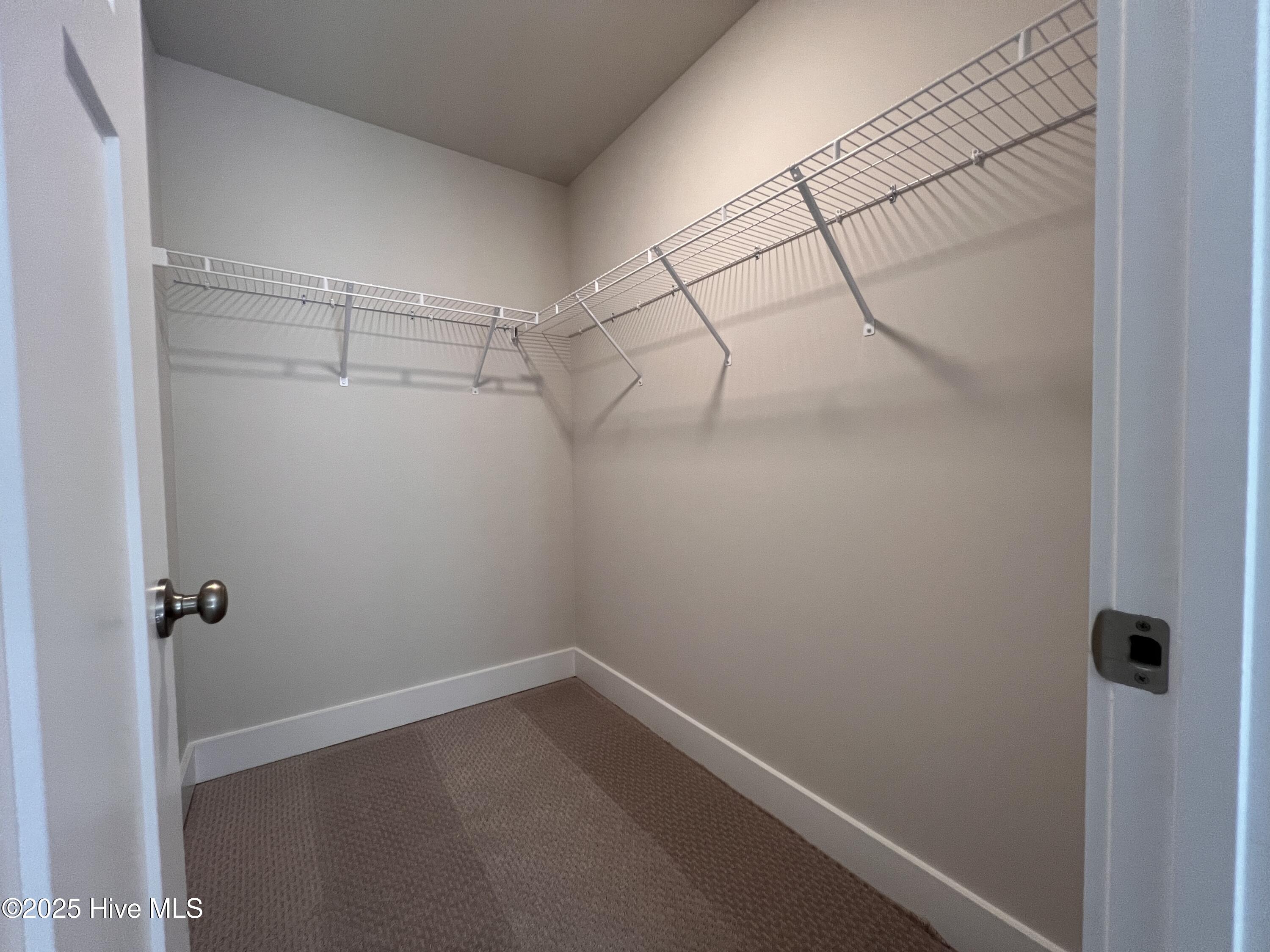 641 Cresswell Moor Way Property Photo 33