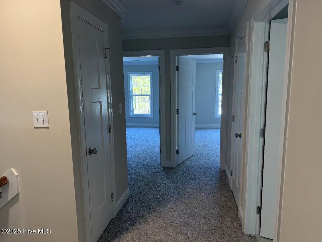 450 Spring Lake Drive Property Photo 5