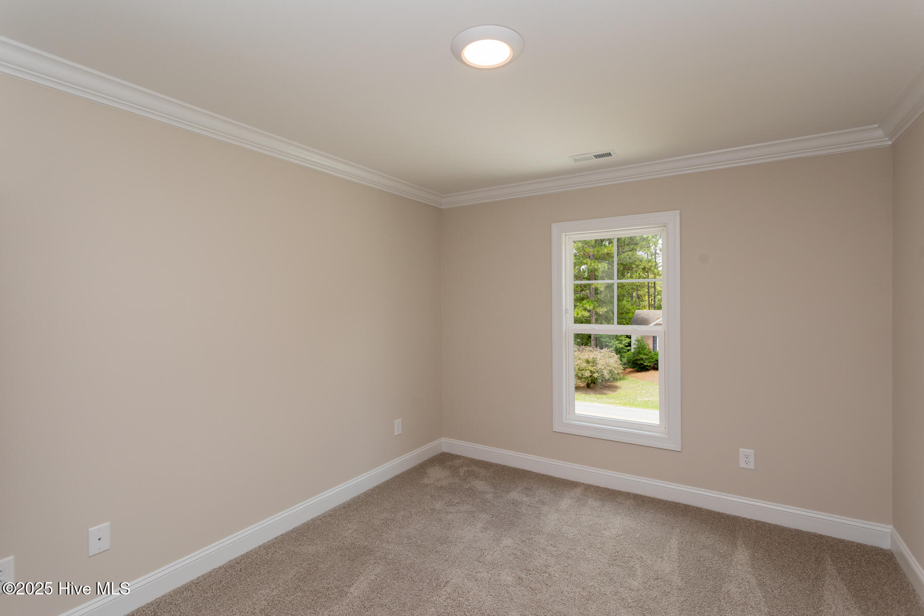 450 Spring Lake Drive Property Photo 19
