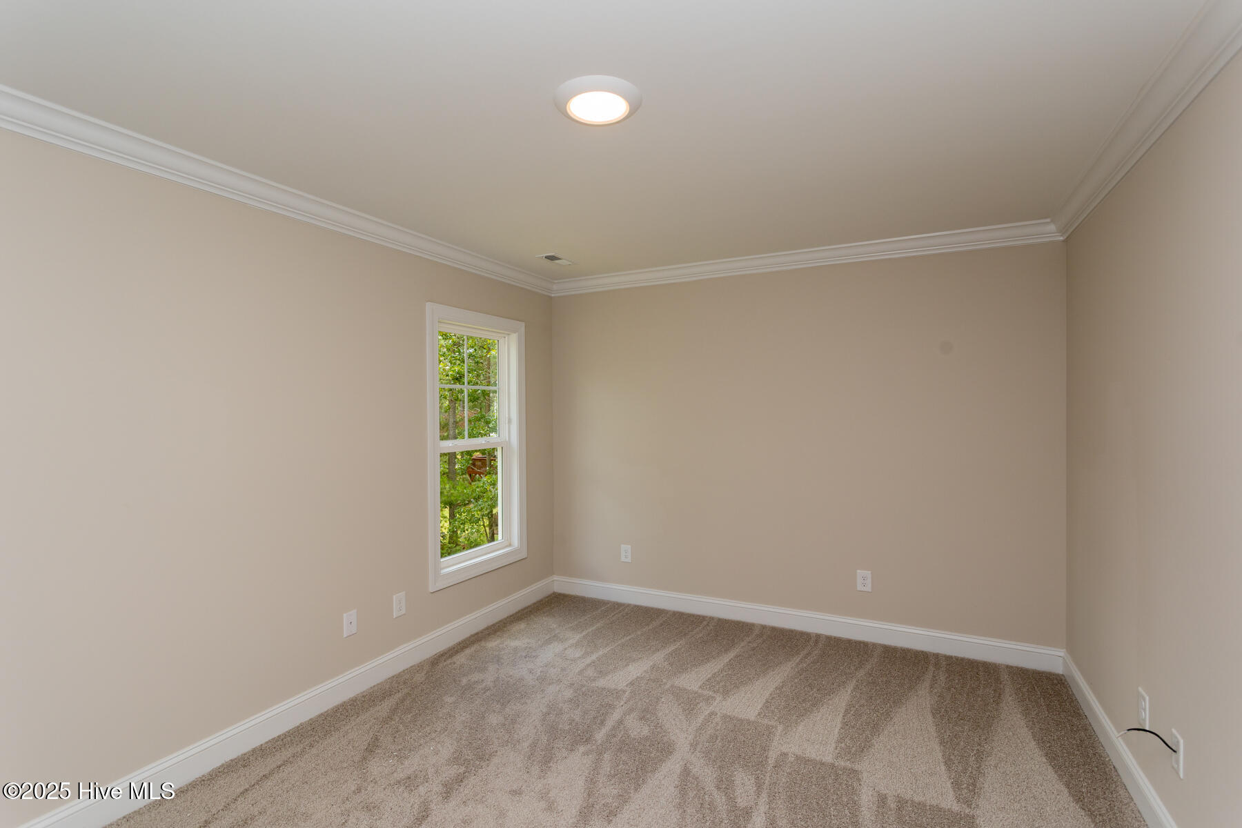 450 Spring Lake Drive Property Photo 22