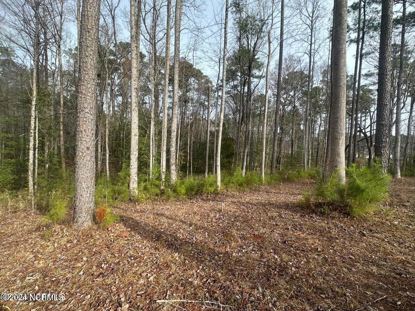 1007 Parchment Bluff Property Photo 1