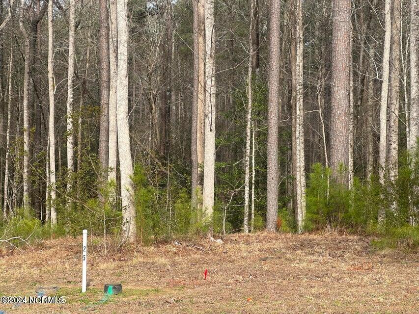 1007 Parchment Bluff Property Photo 2