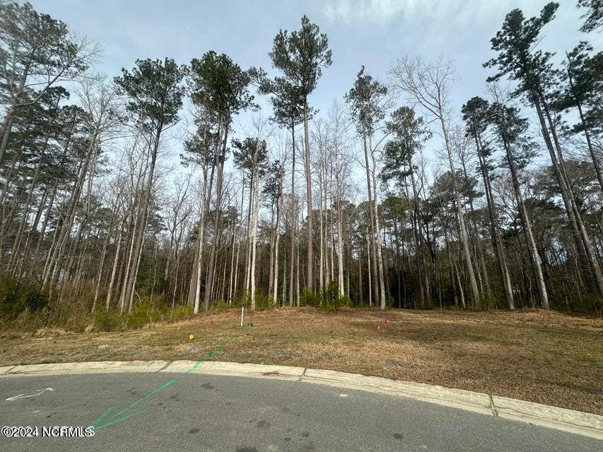 1007 Parchment Bluff Property Photo 3