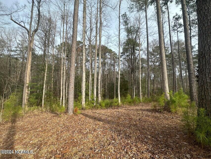1007 Parchment Bluff Property Photo 4