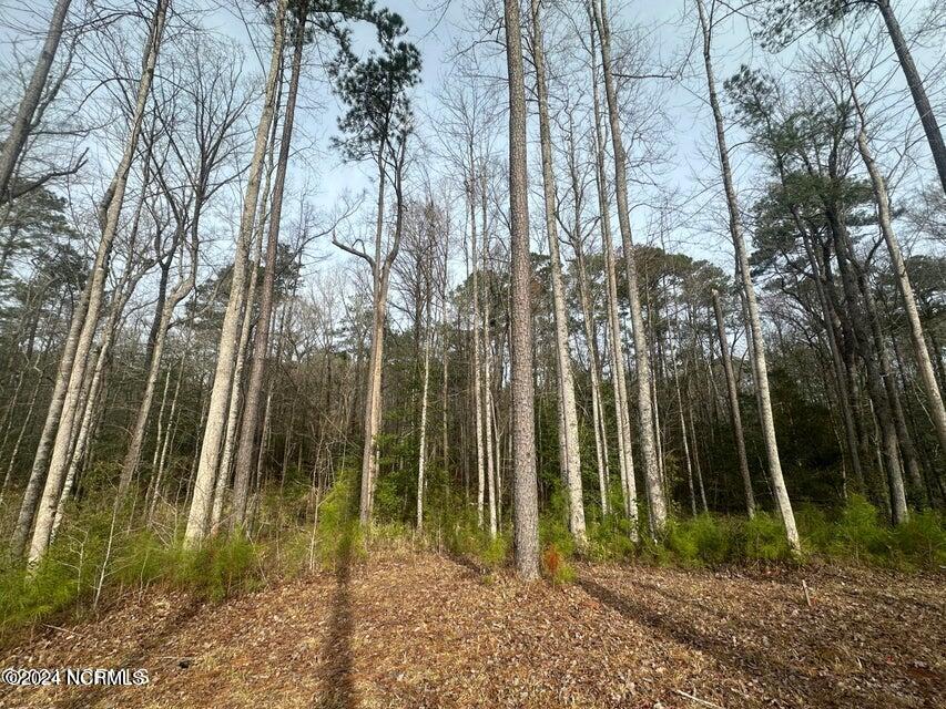 1007 Parchment Bluff Property Photo 5