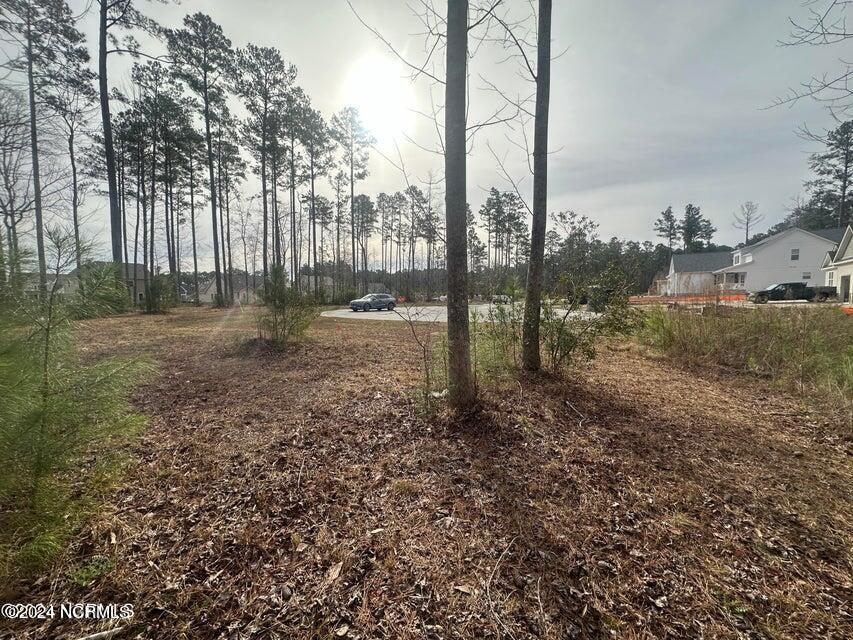 1007 Parchment Bluff Property Photo 6