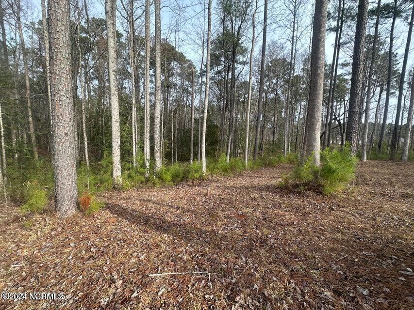 1007 Parchment Bluff Property Photo 7