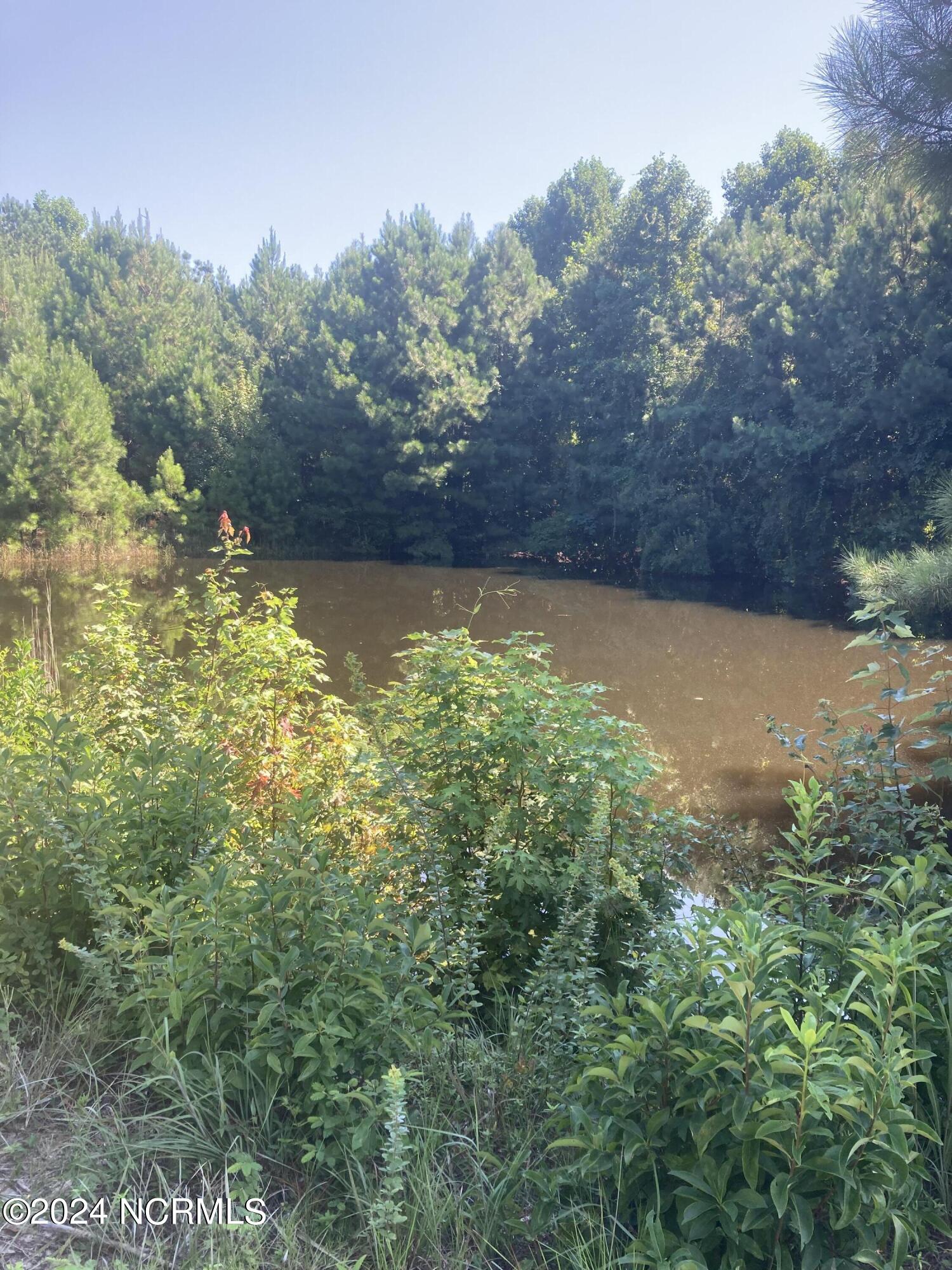 3047 Bass Landing Road Property Photo 10