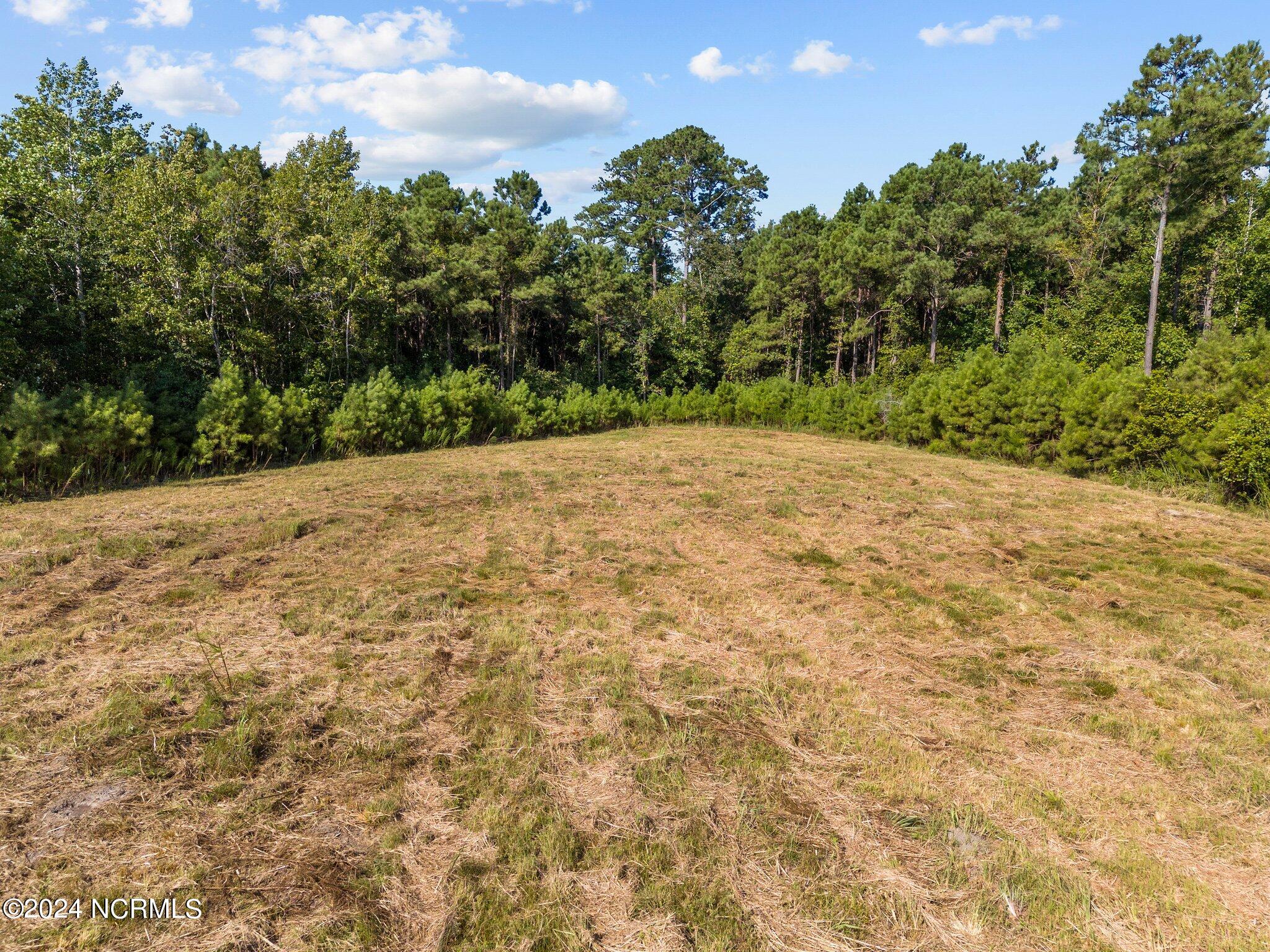 8573 River Road Property Photo 15