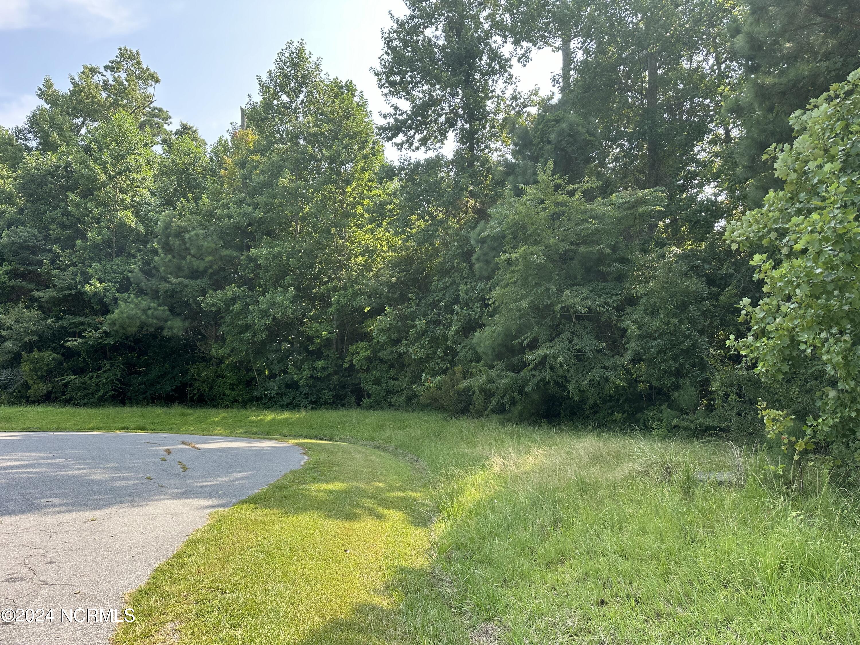 266 Sterling Colson Way Property Photo 4