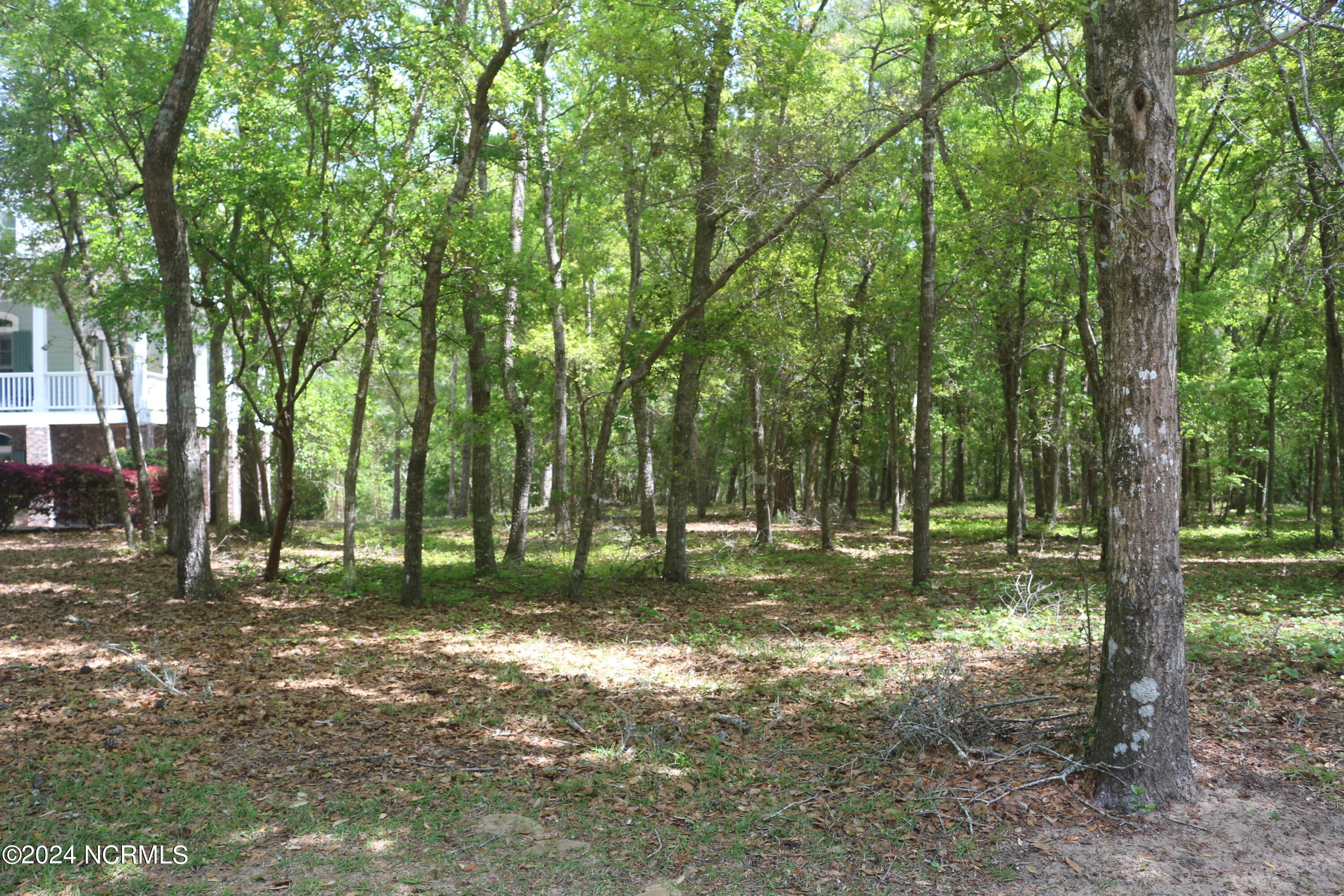 3493 Concordia Avenue Property Photo 4