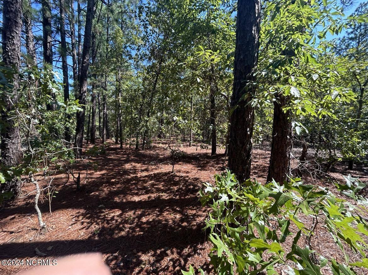 Tbd Maplewood Lane Property Photo 3