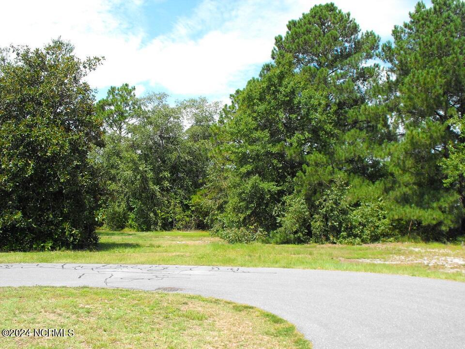 99 Blue Heron Drive Property Photo