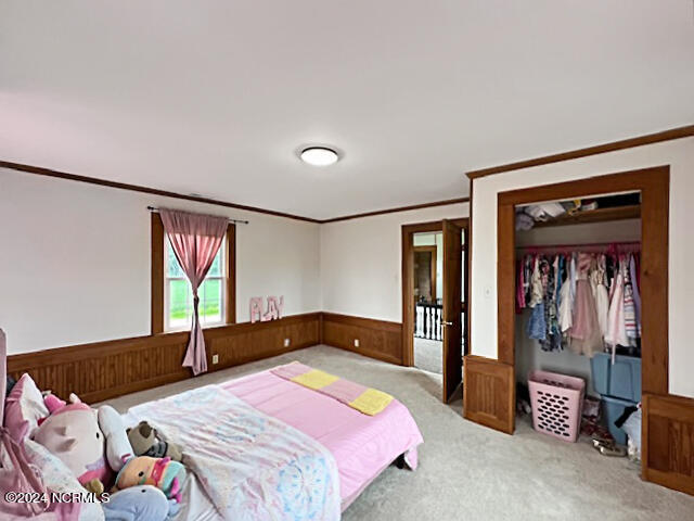 203 Mount Gould River Road Property Photo 23