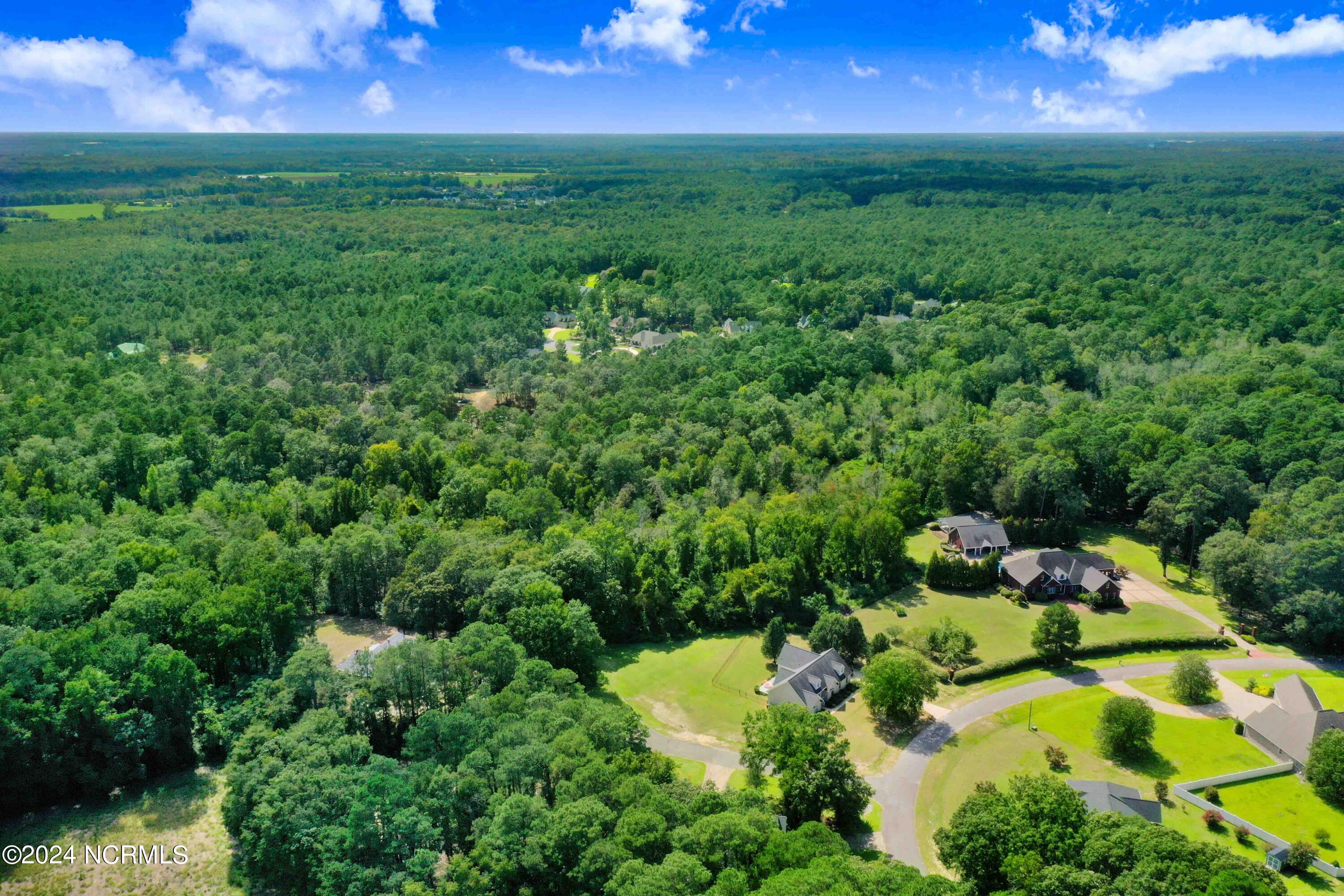 103 Walnut Cove Property Photo 3