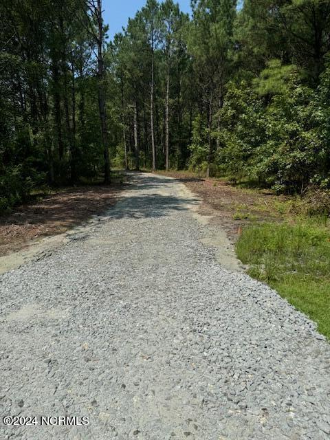 155 N Berne Landing Road Property Photo 4