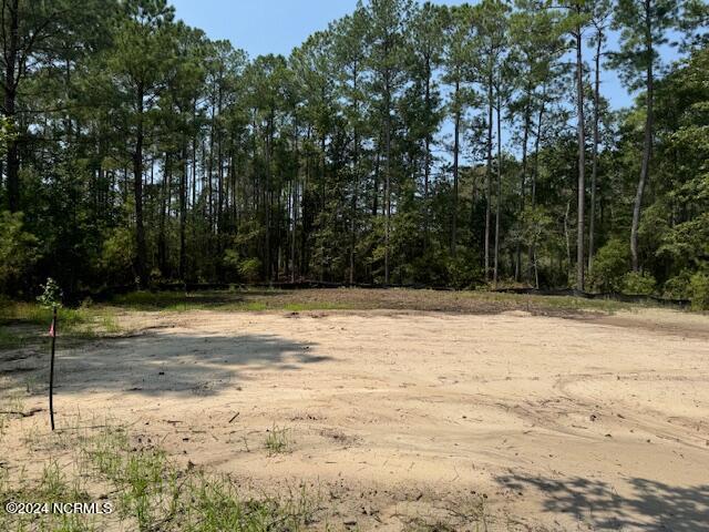 155 N Berne Landing Road Property Photo 6