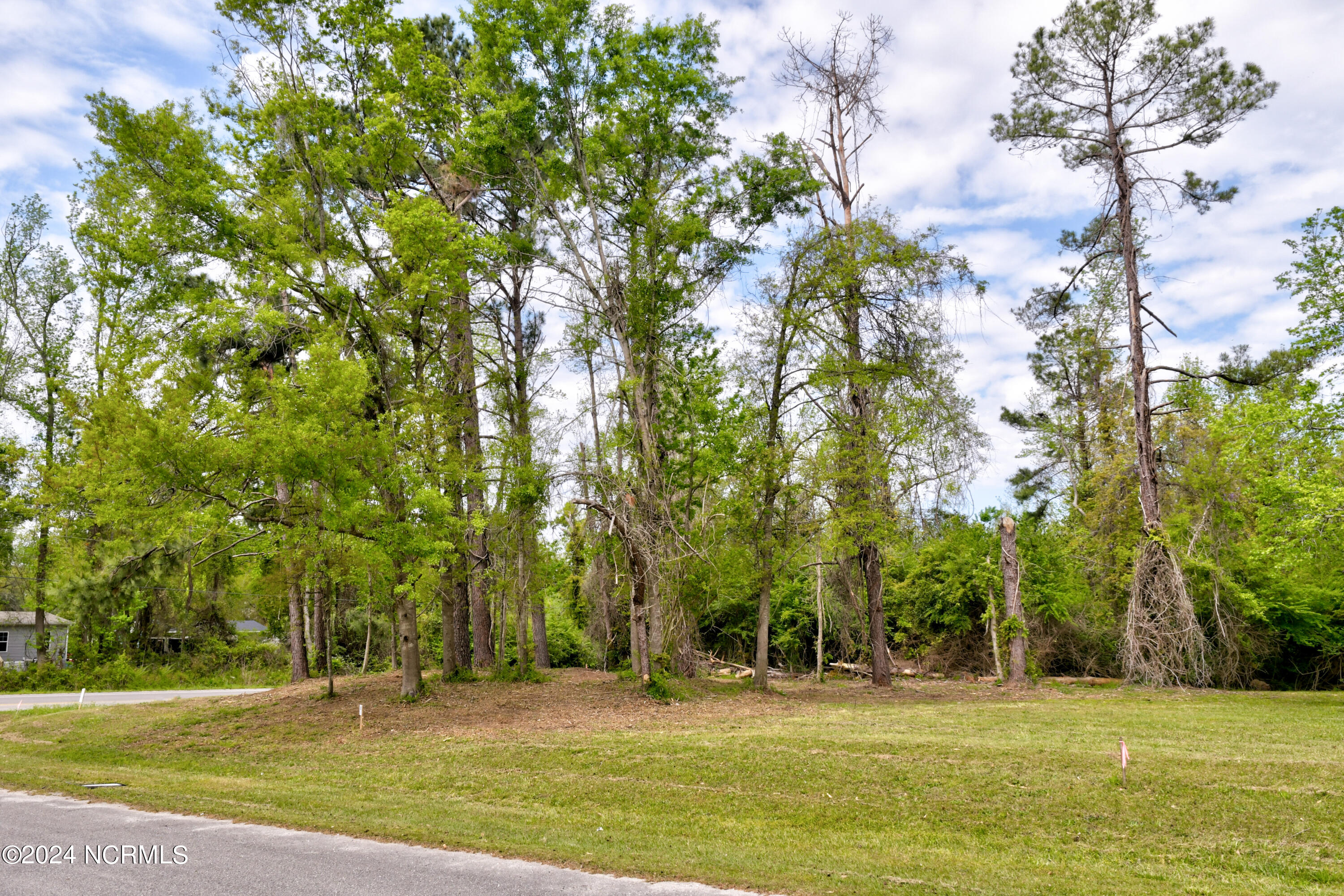 Tract A-1 Nc 133 Highway Property Photo 3